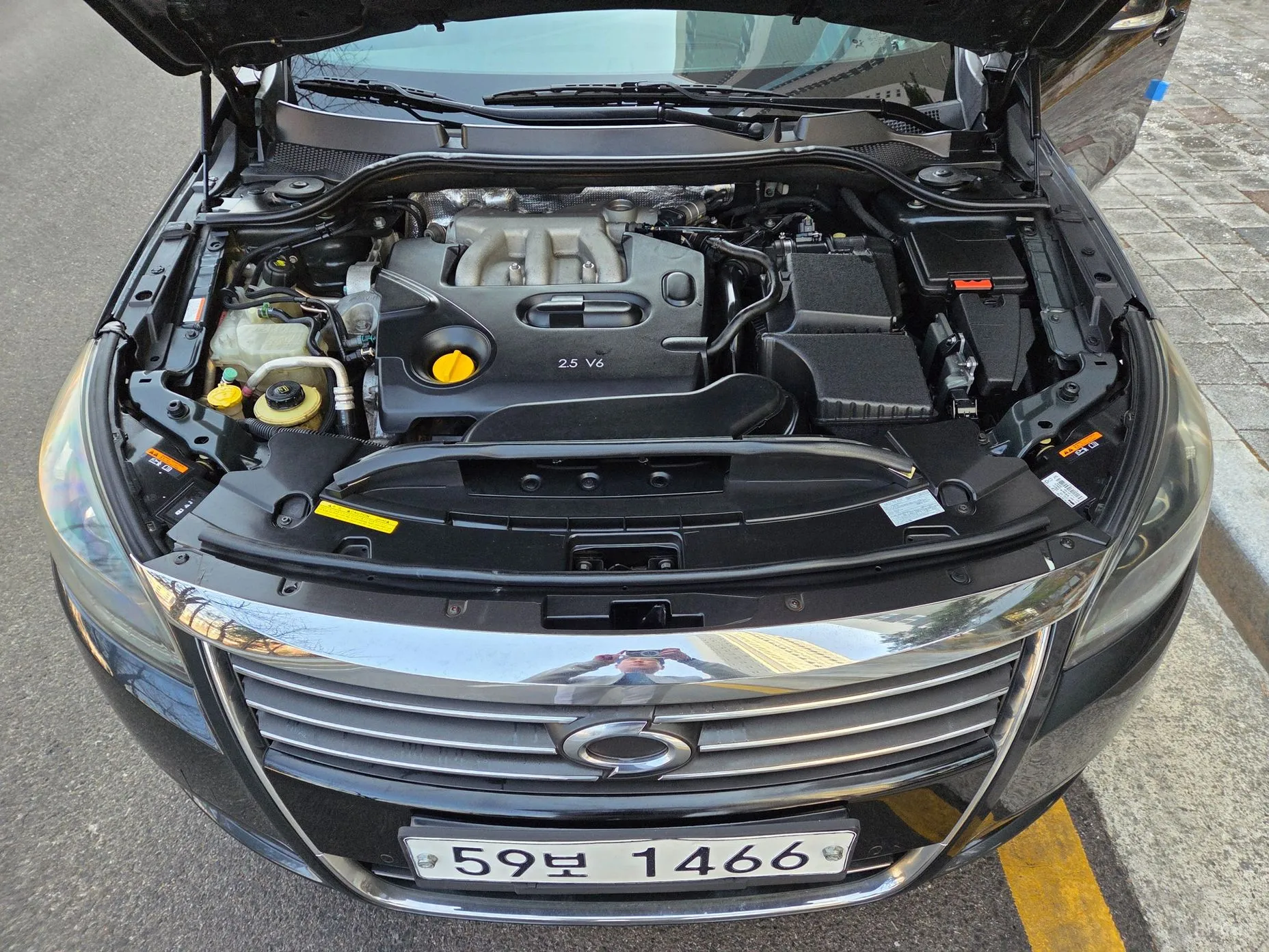 Renault Korea (Samsung) SM7 превью 6