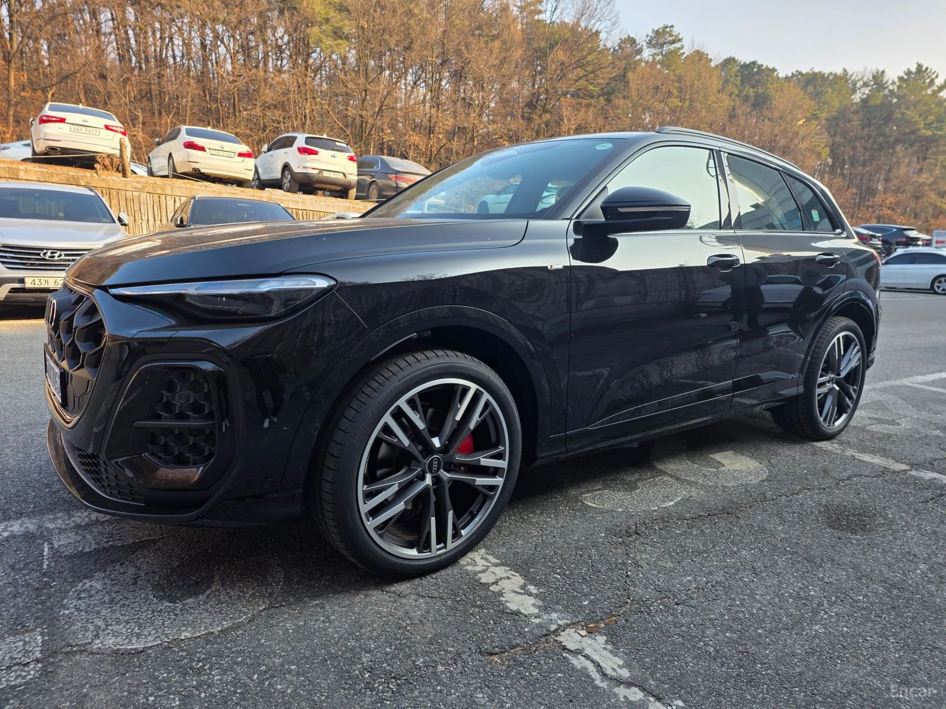 Audi Q5 (80a) превью 2