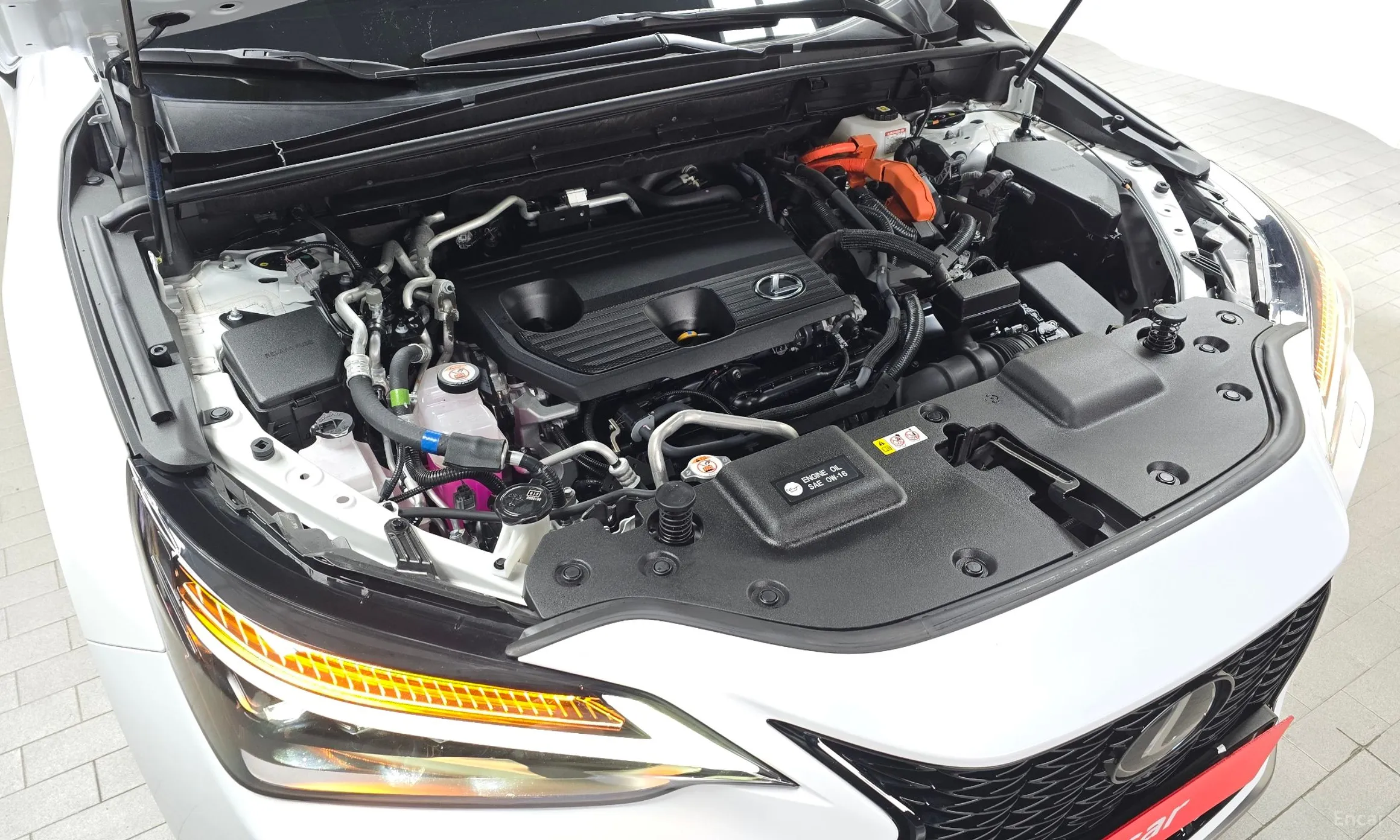 Lexus NX450h + 2nd Gen превью 6