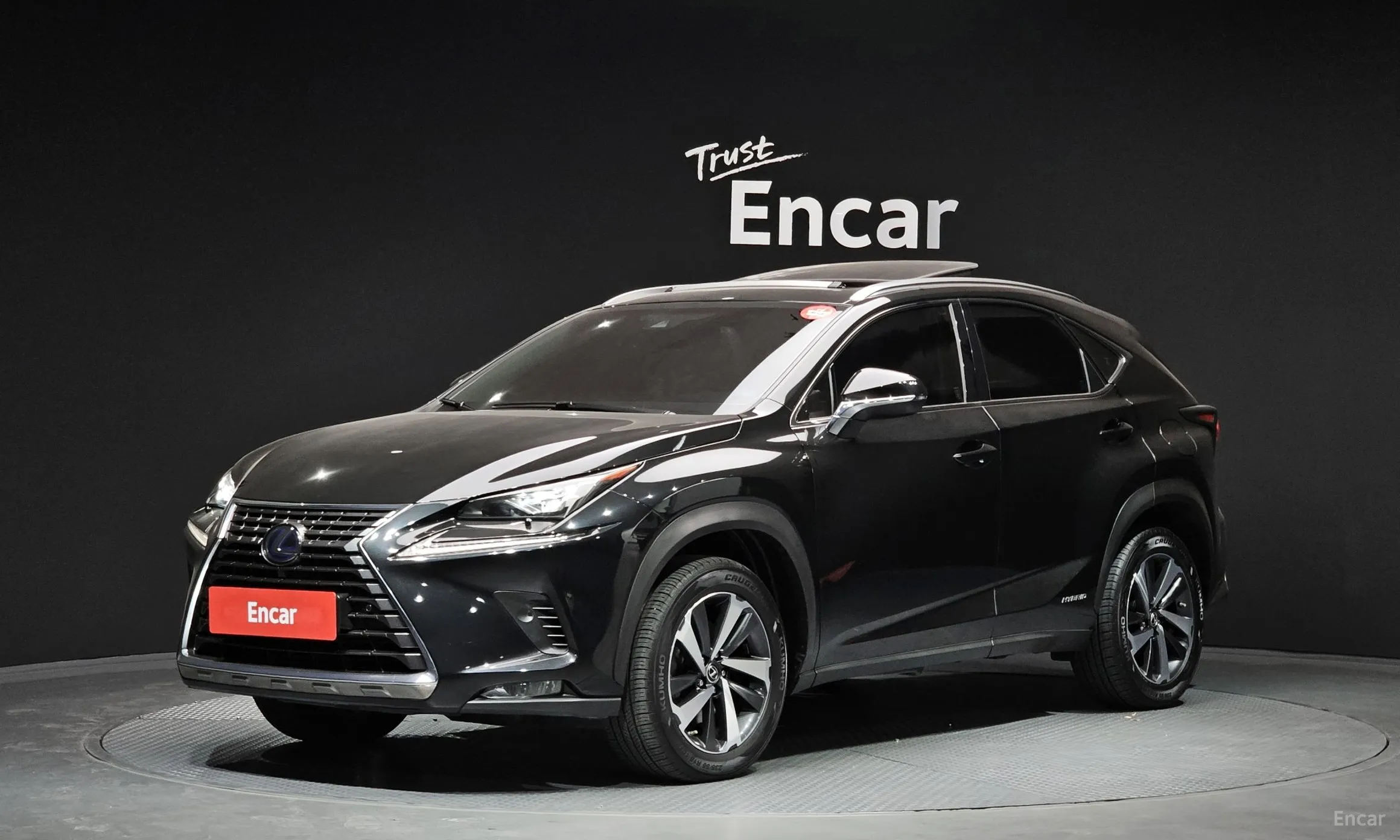 Lexus NX300h