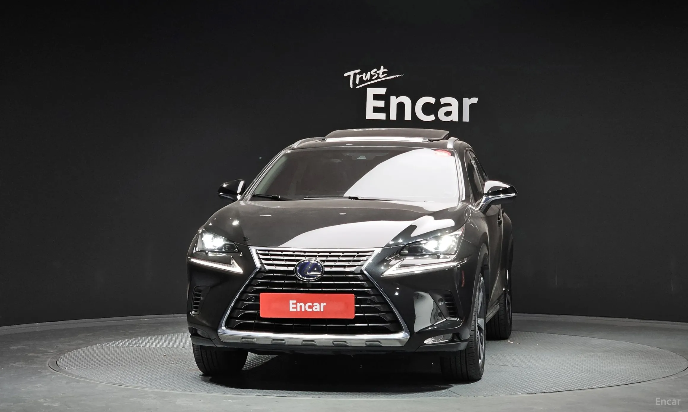 Lexus NX300h превью 3