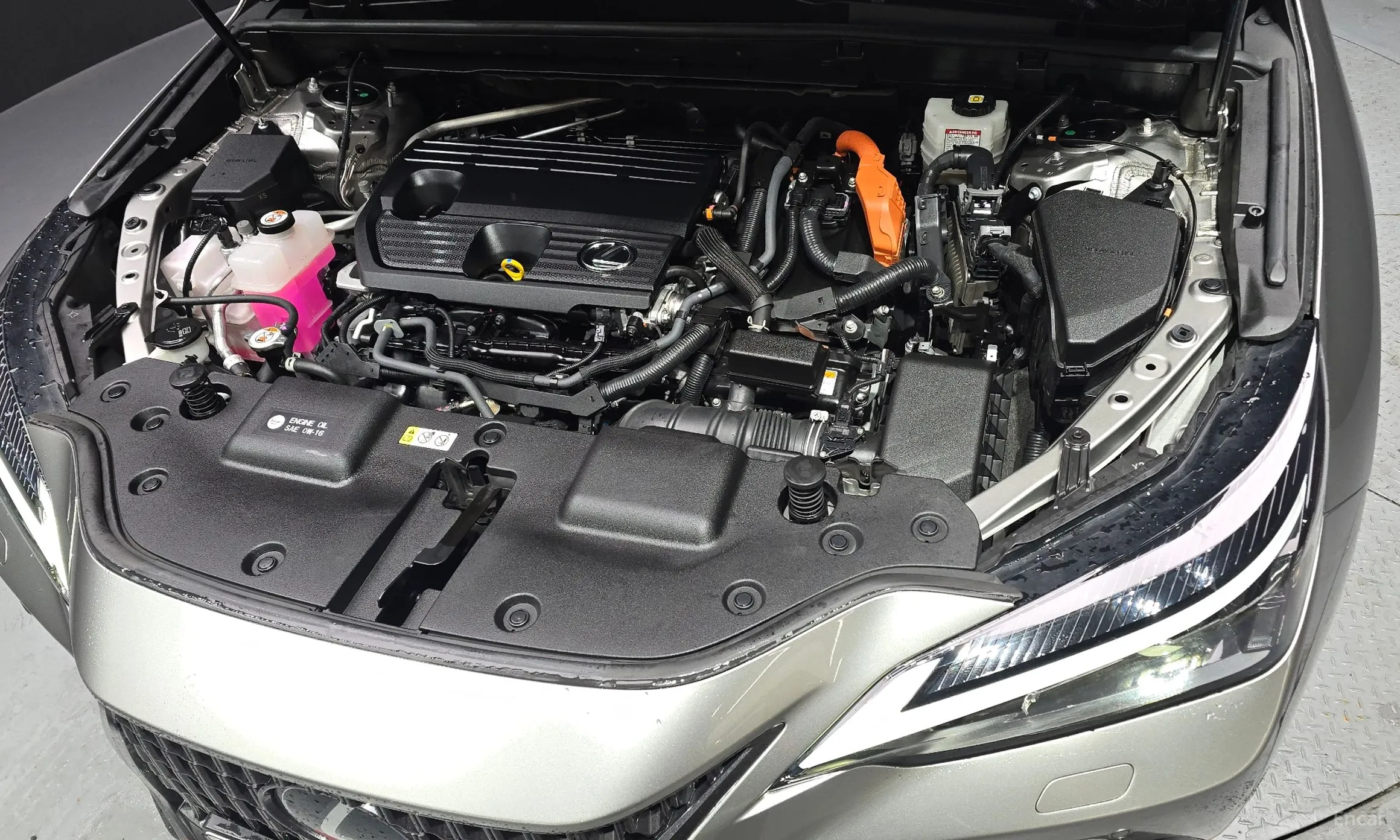 Lexus NX350h Gen 2 превью 6