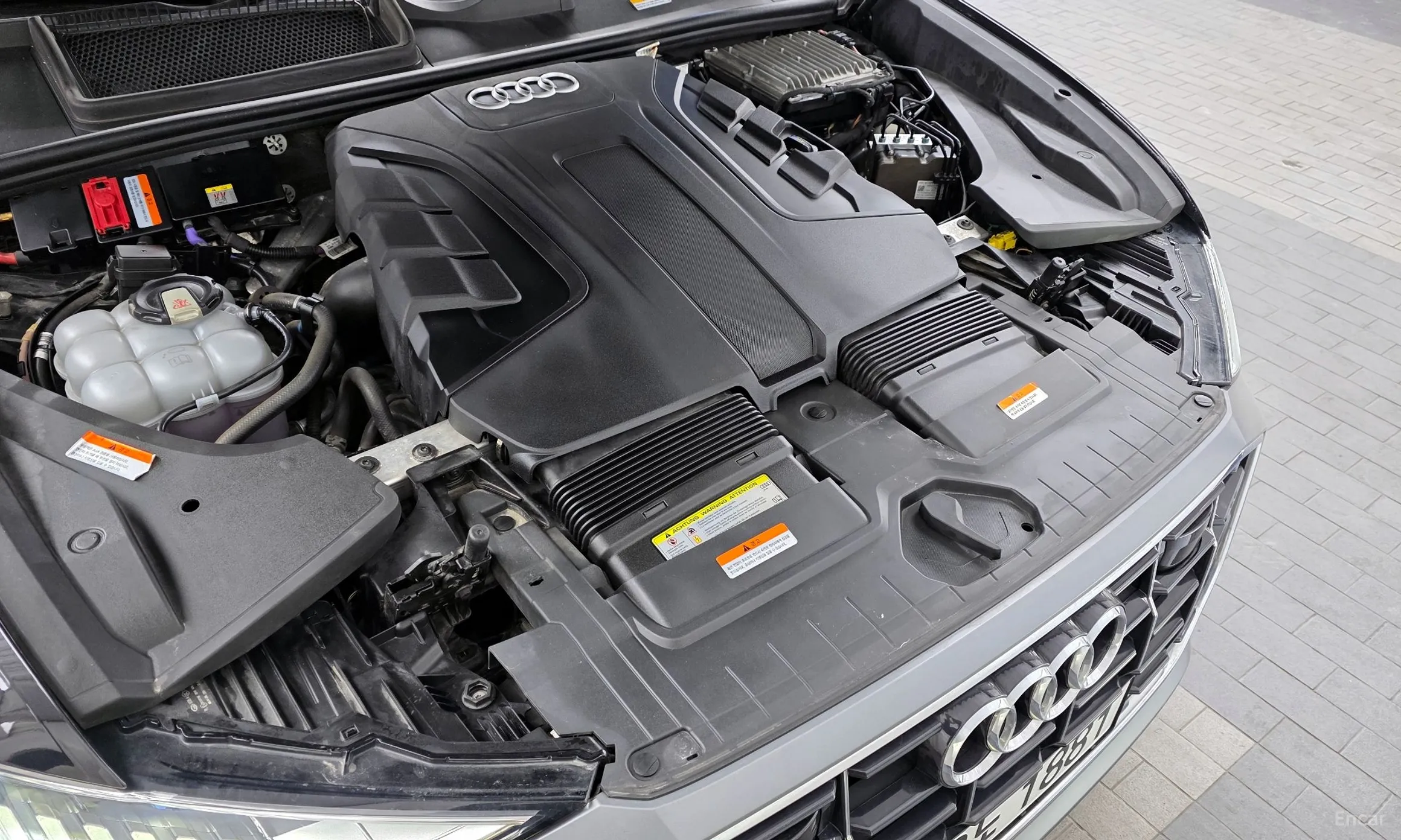 Audi Q8 (4M) превью 6