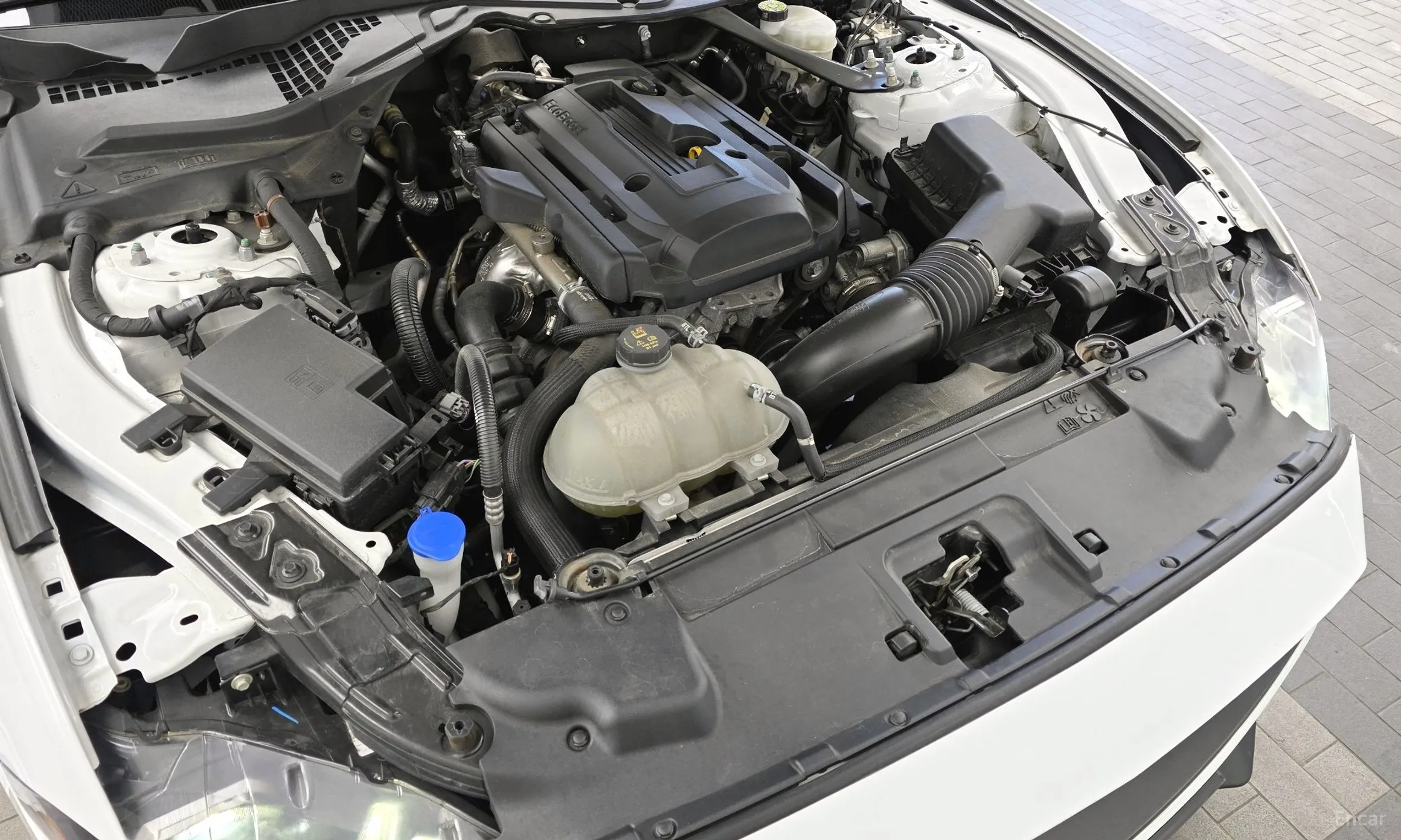 Ford Mustang превью 6