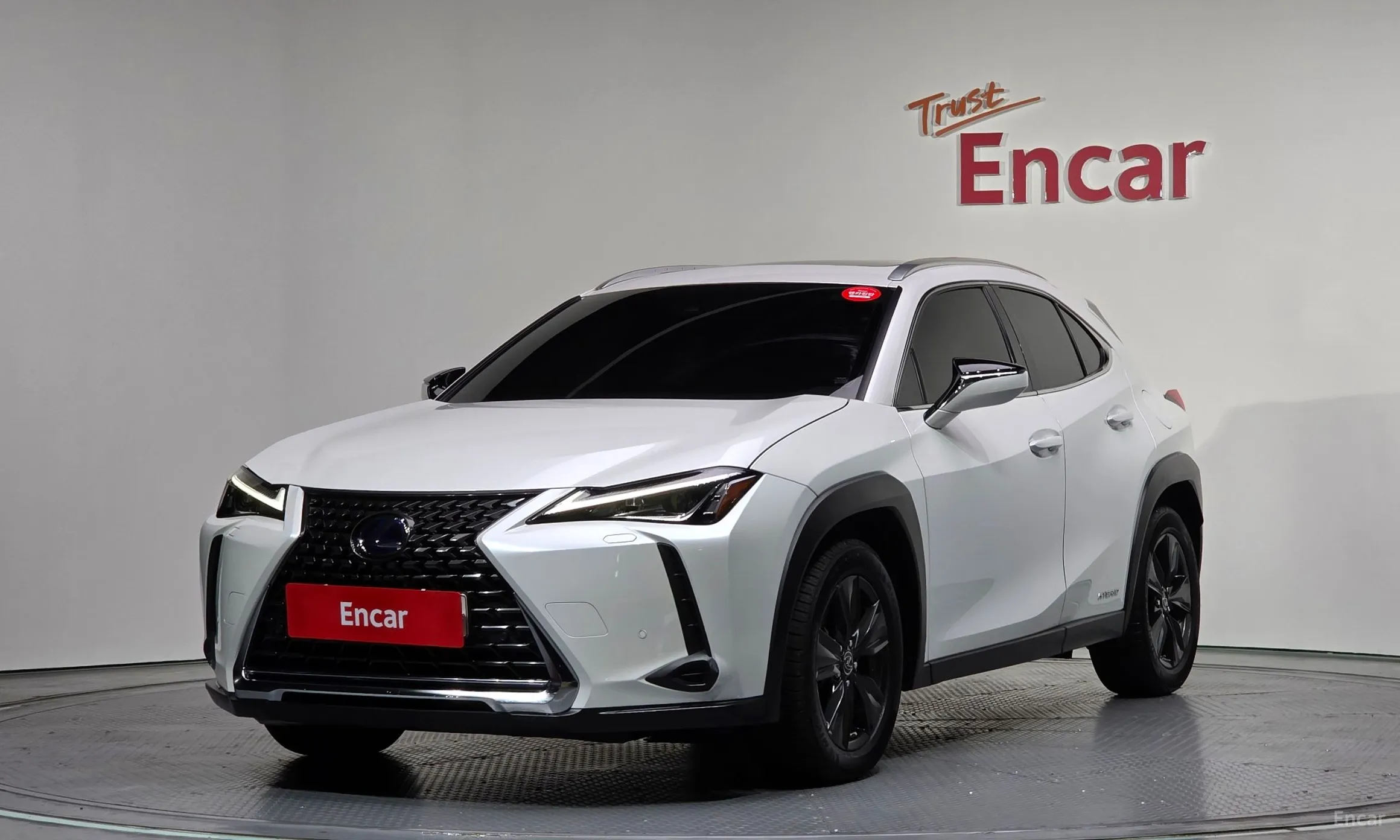 Lexus UX250h
