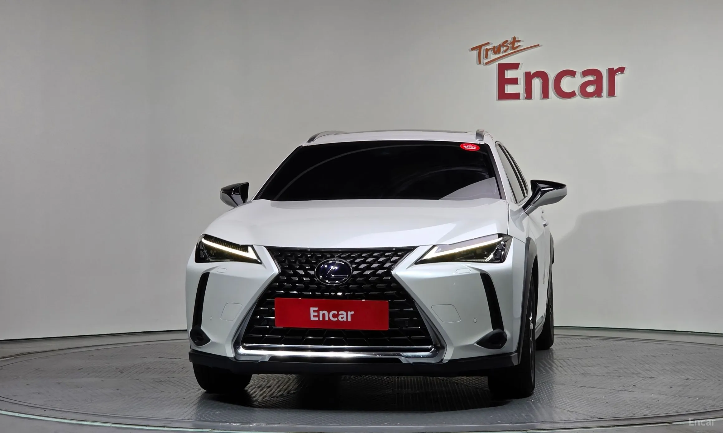 Lexus UX250h превью 3