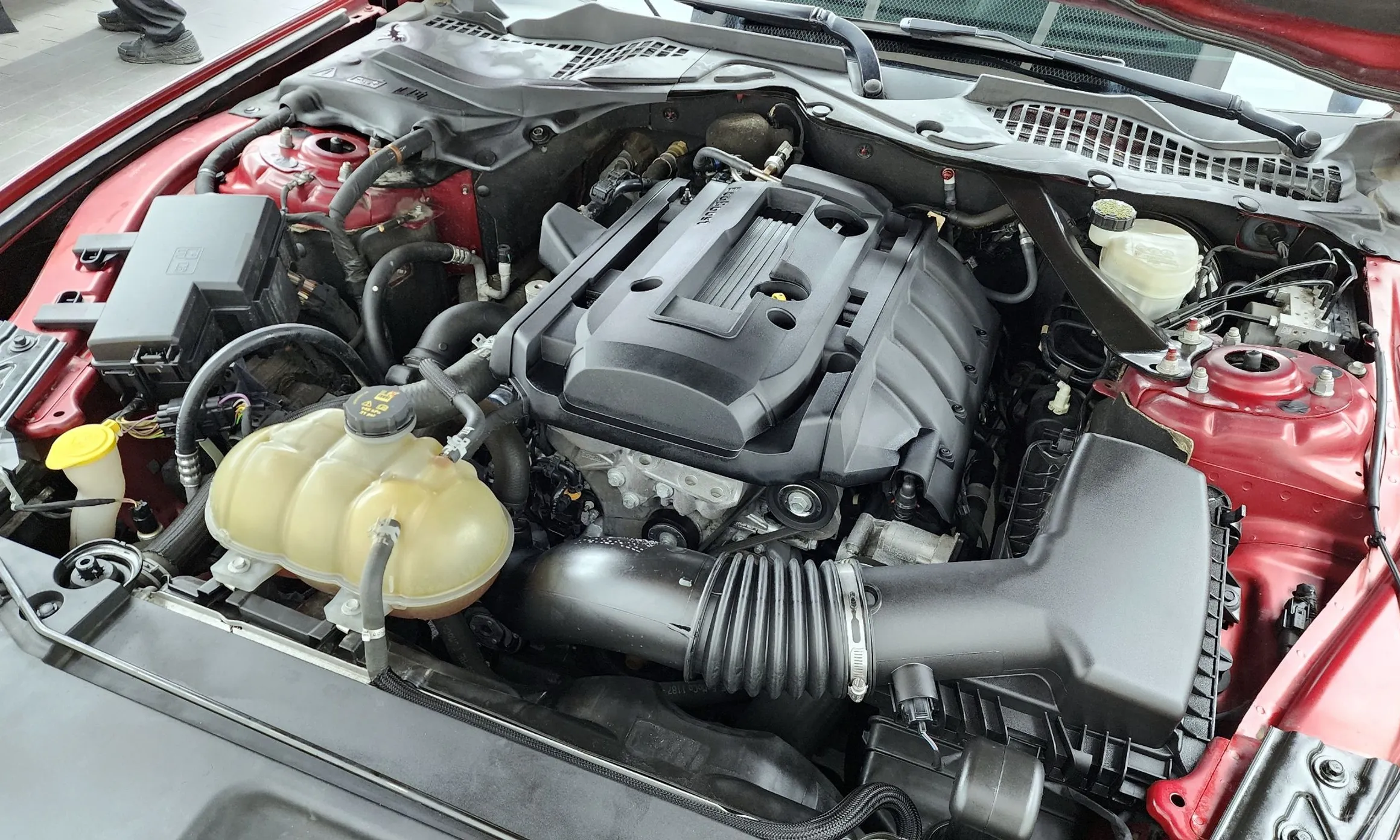 Ford Mustang превью 6