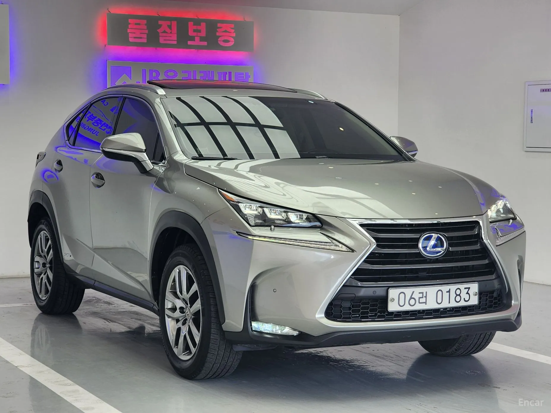 NX300h