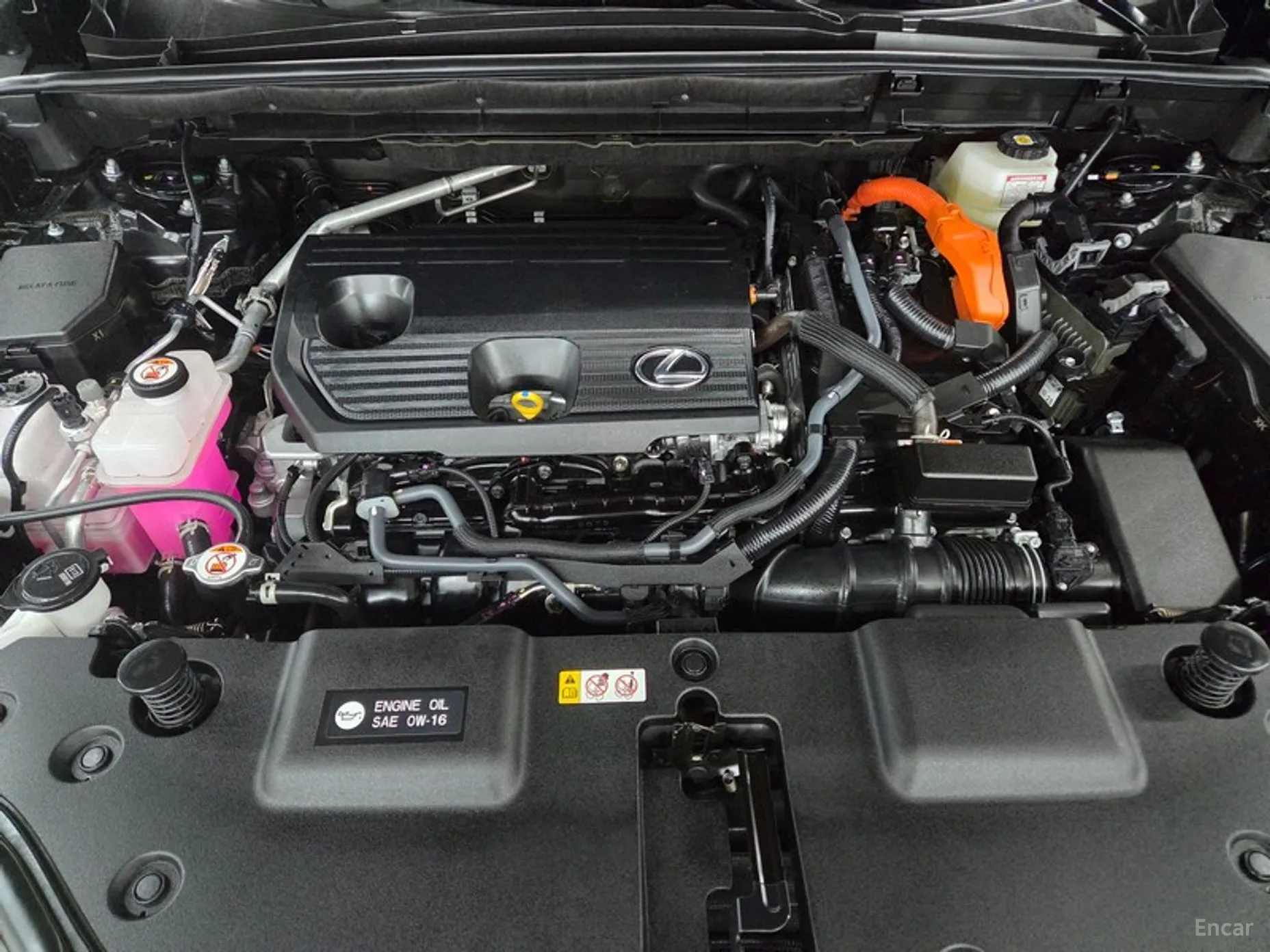 Lexus NX350h Gen 2 превью 18