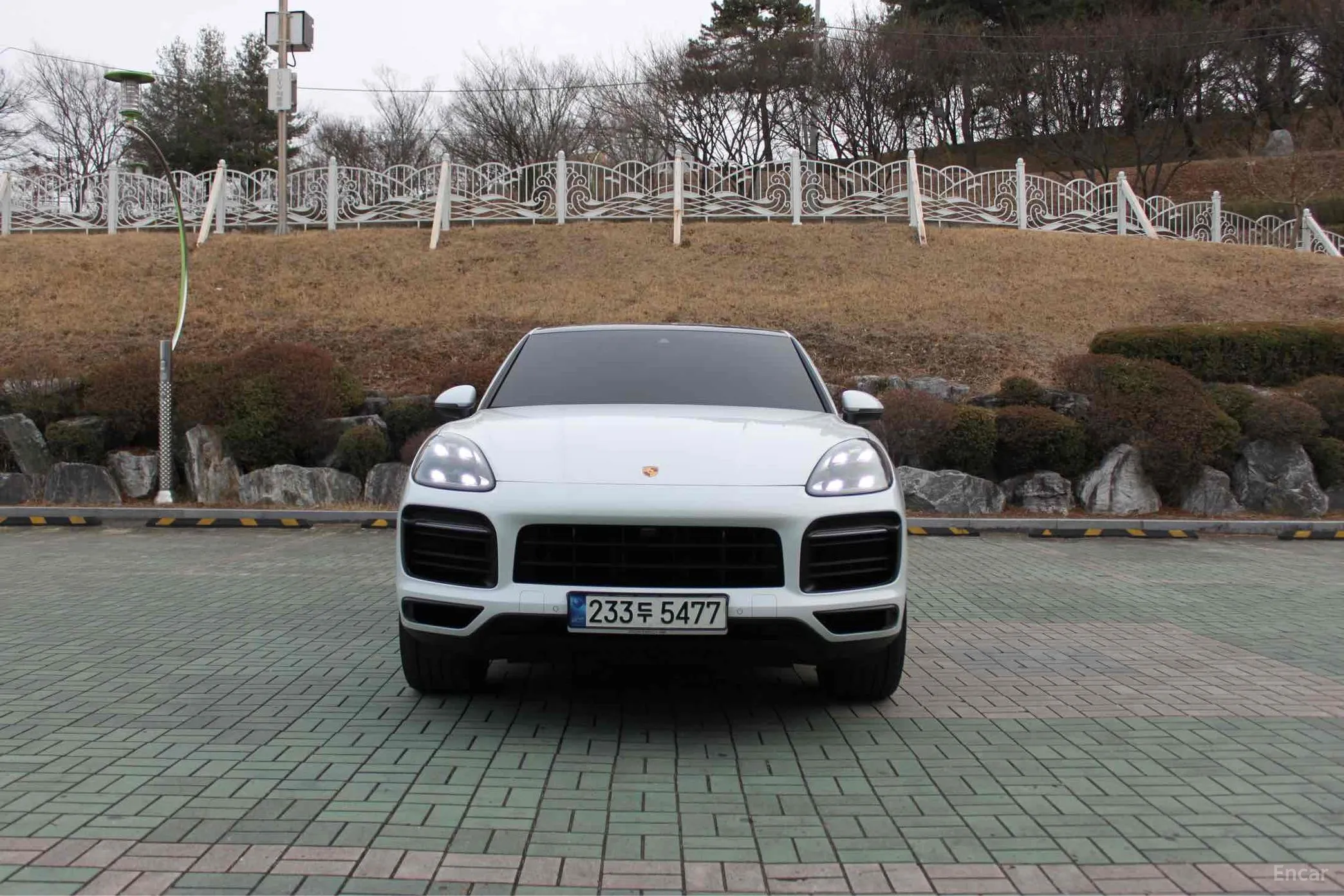 Cayenne (PO536)
