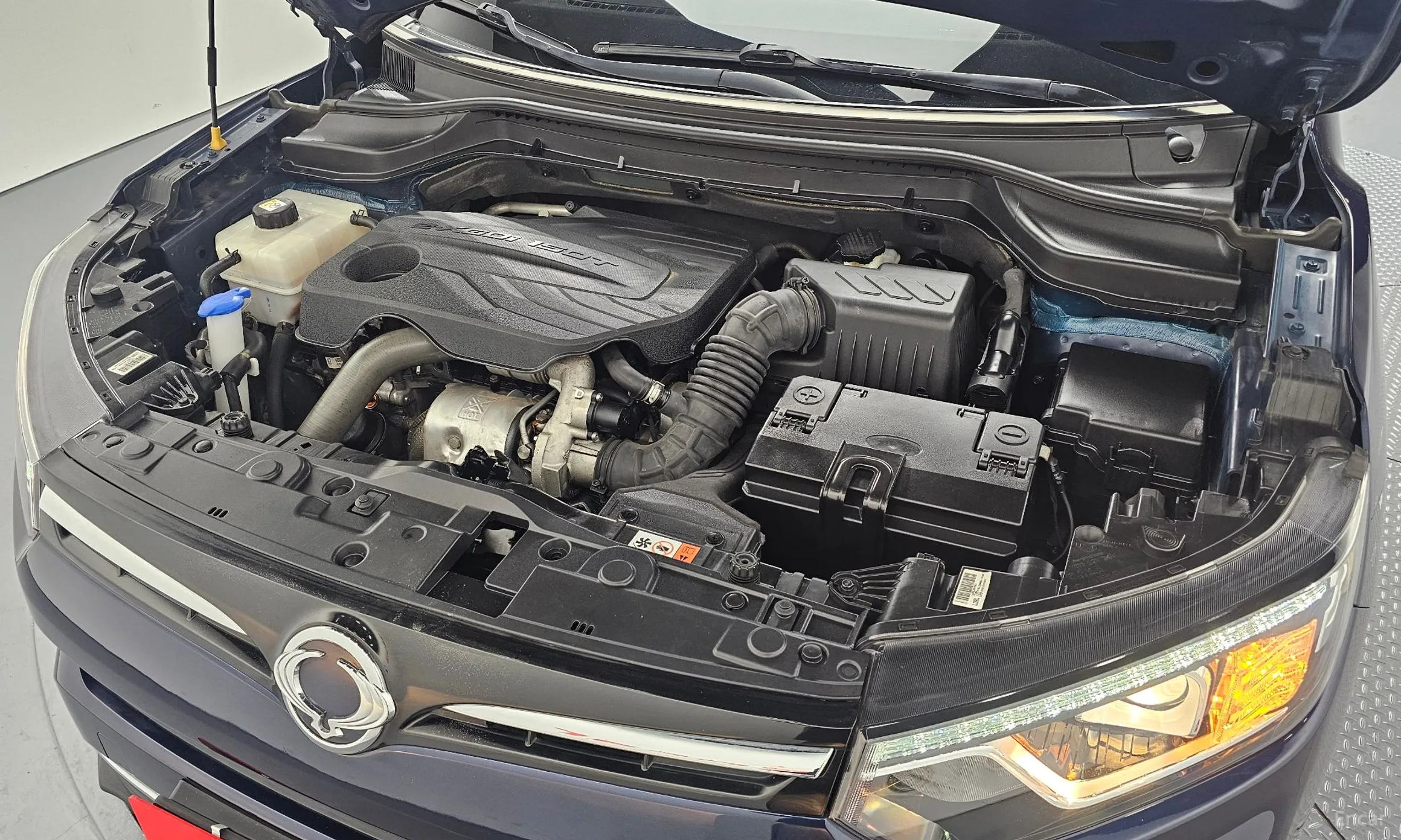 KG Mobility (SsangYong) Berry New Tivoli превью 6