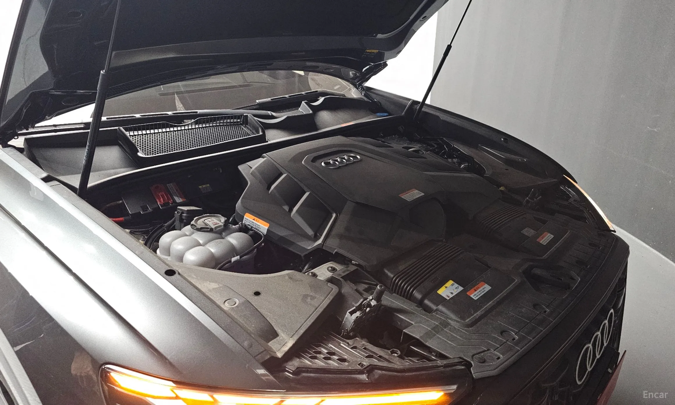Audi Q8 (4M) превью 6