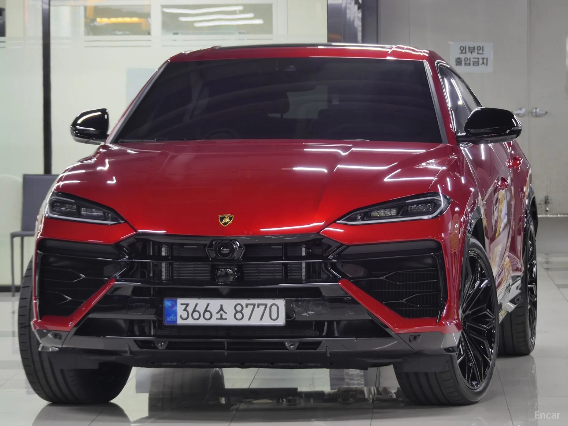 Urus