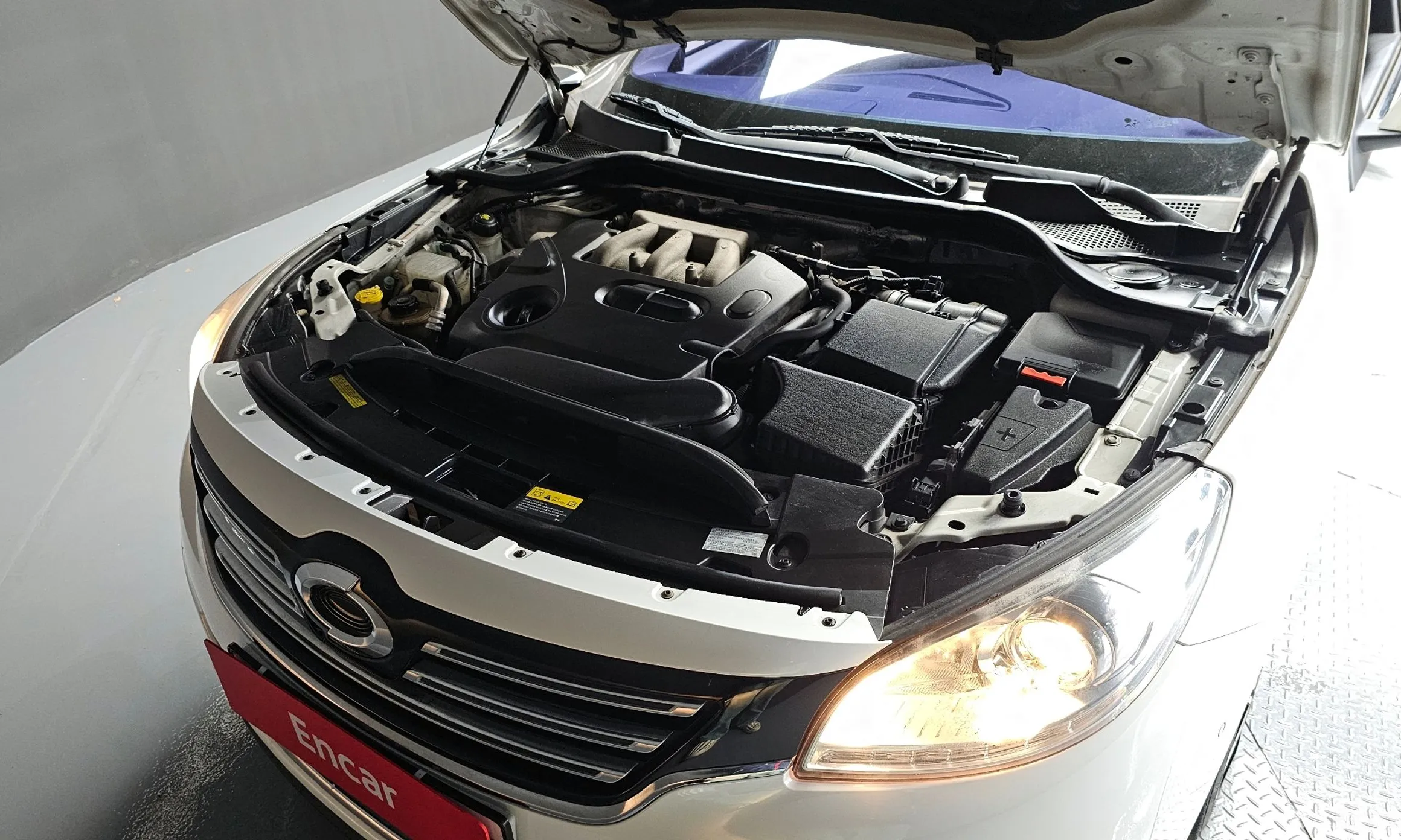 Renault Korea (Samsung) SM7 превью 6