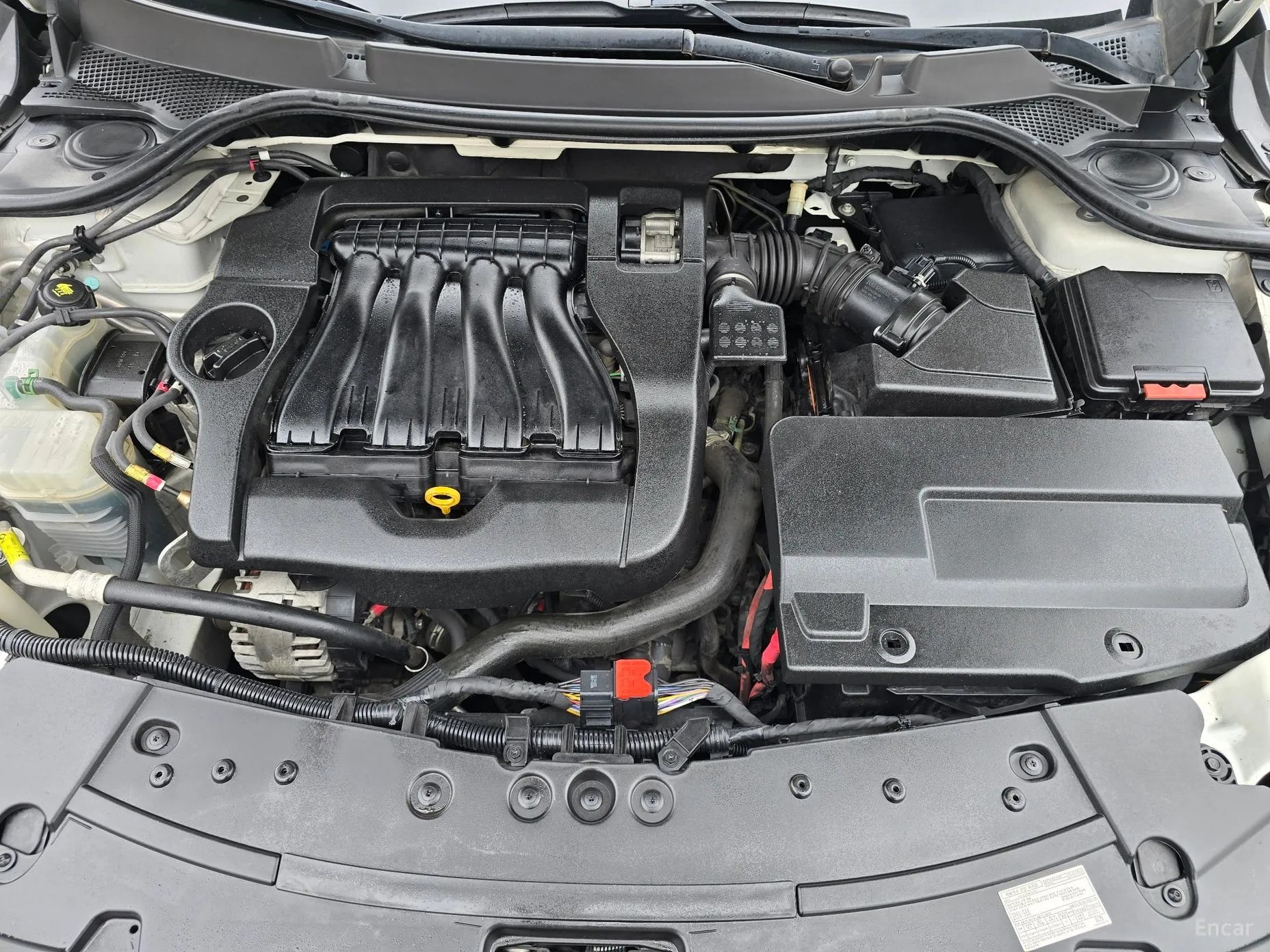 Renault Korea (Samsung) SM7 превью 20