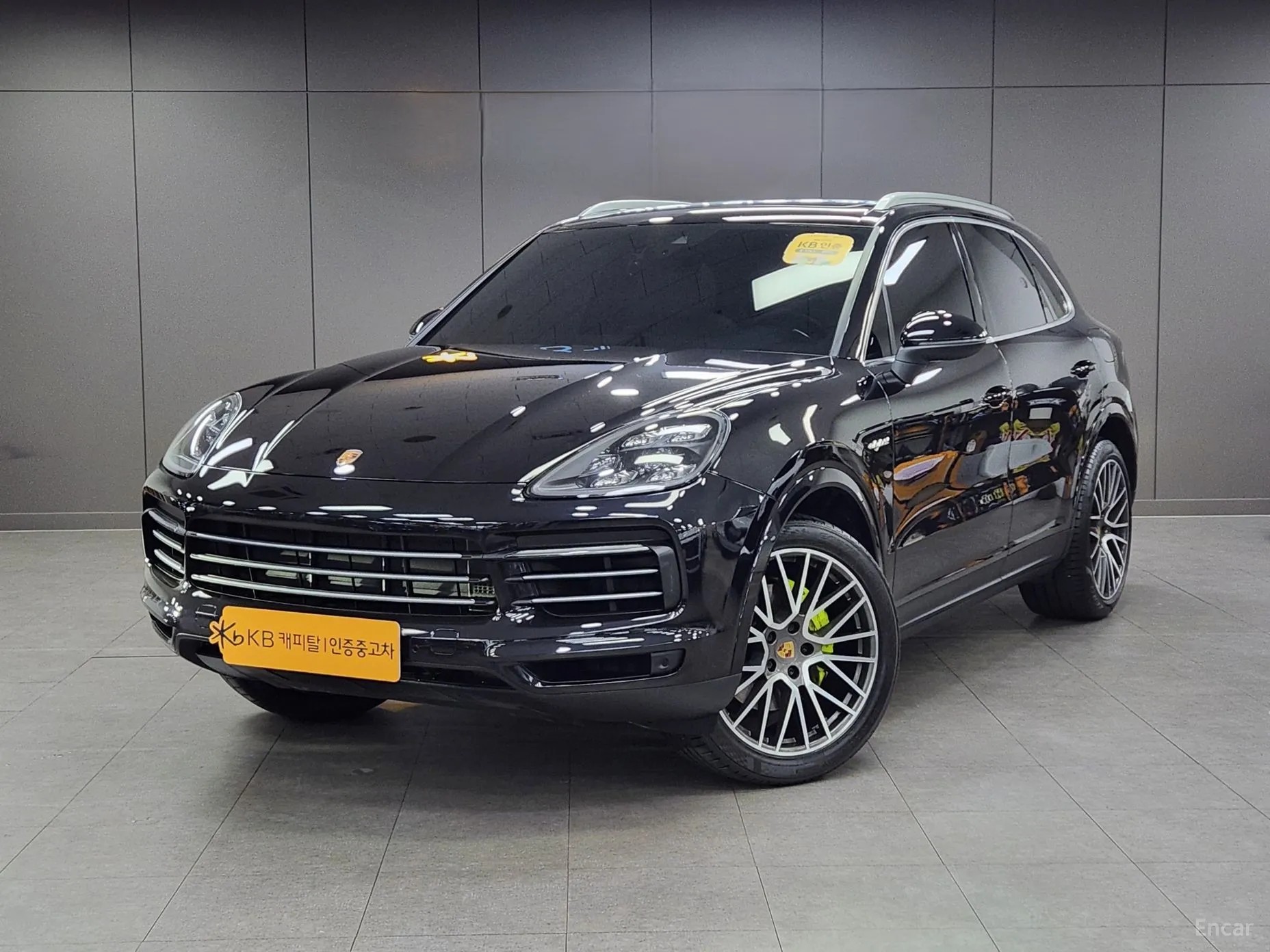 Cayenne (PO536)
