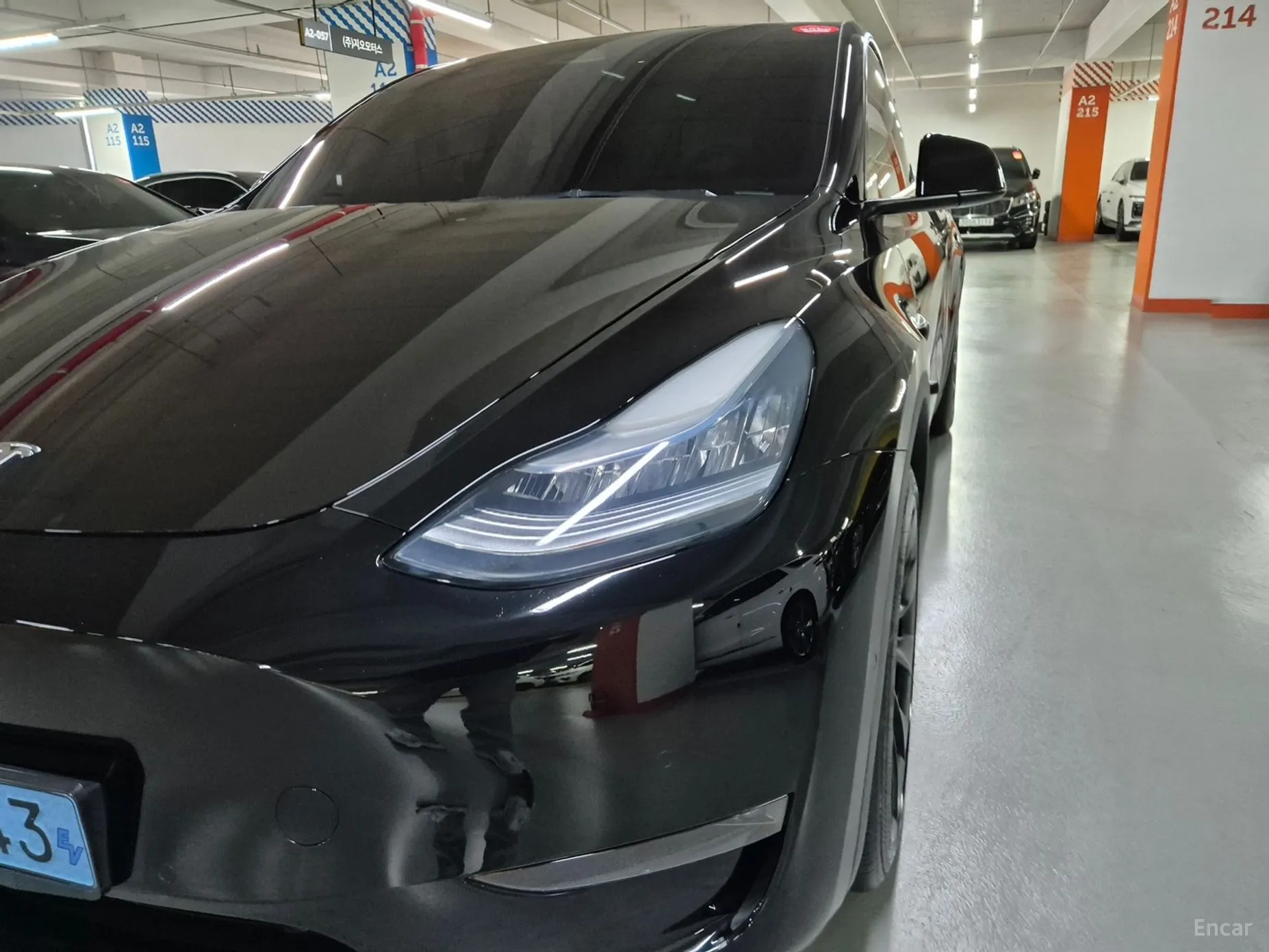 Tesla Model Y превью 3