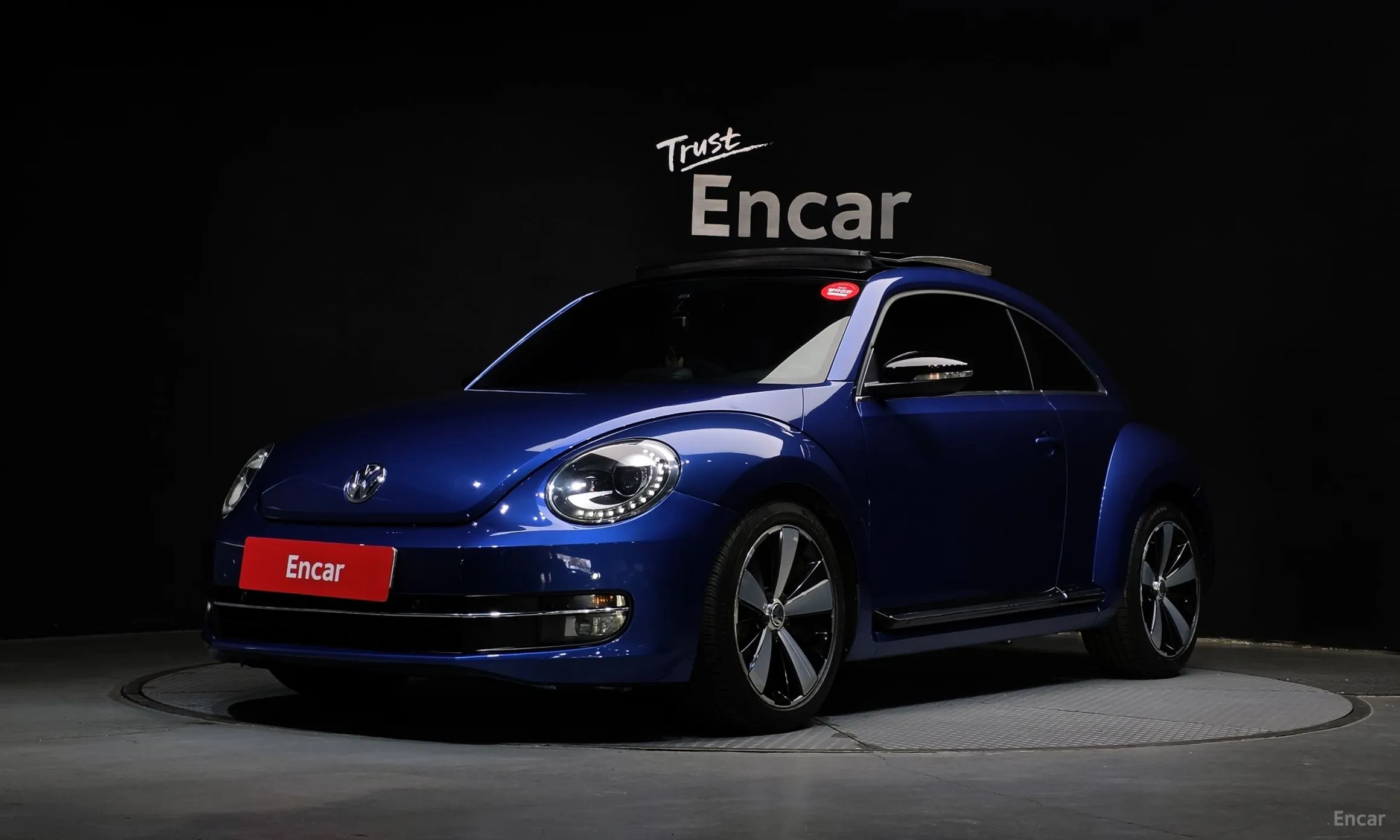 Volkswagen The Beetle