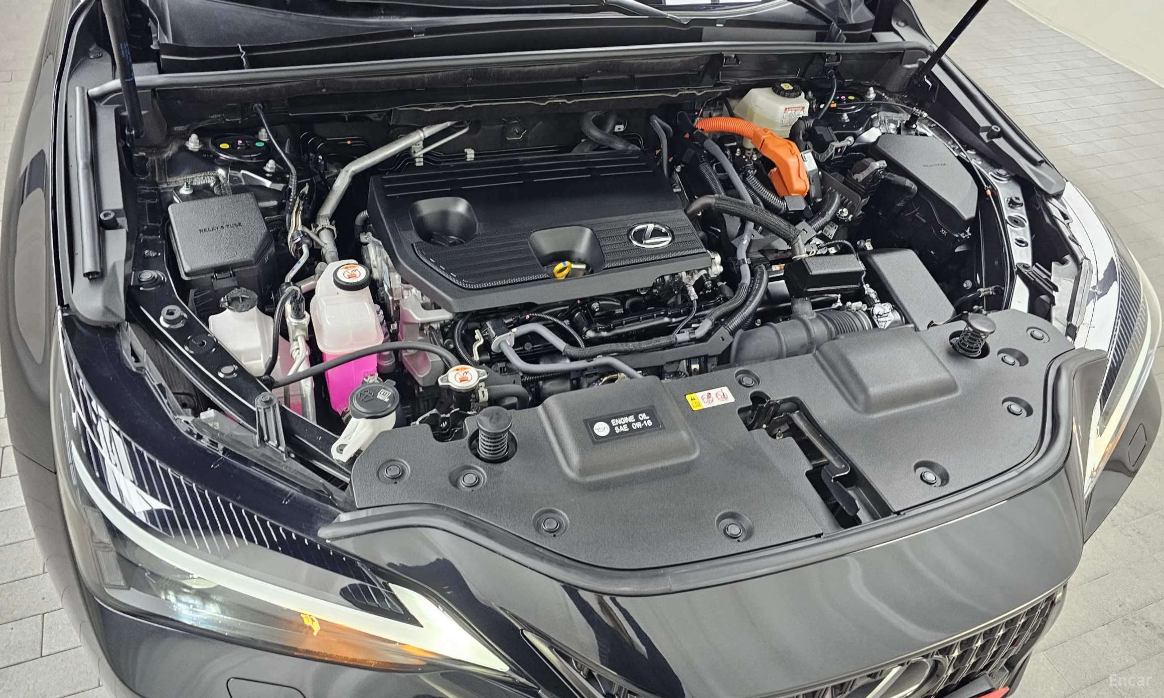 Lexus NX350h Gen 2 превью 6