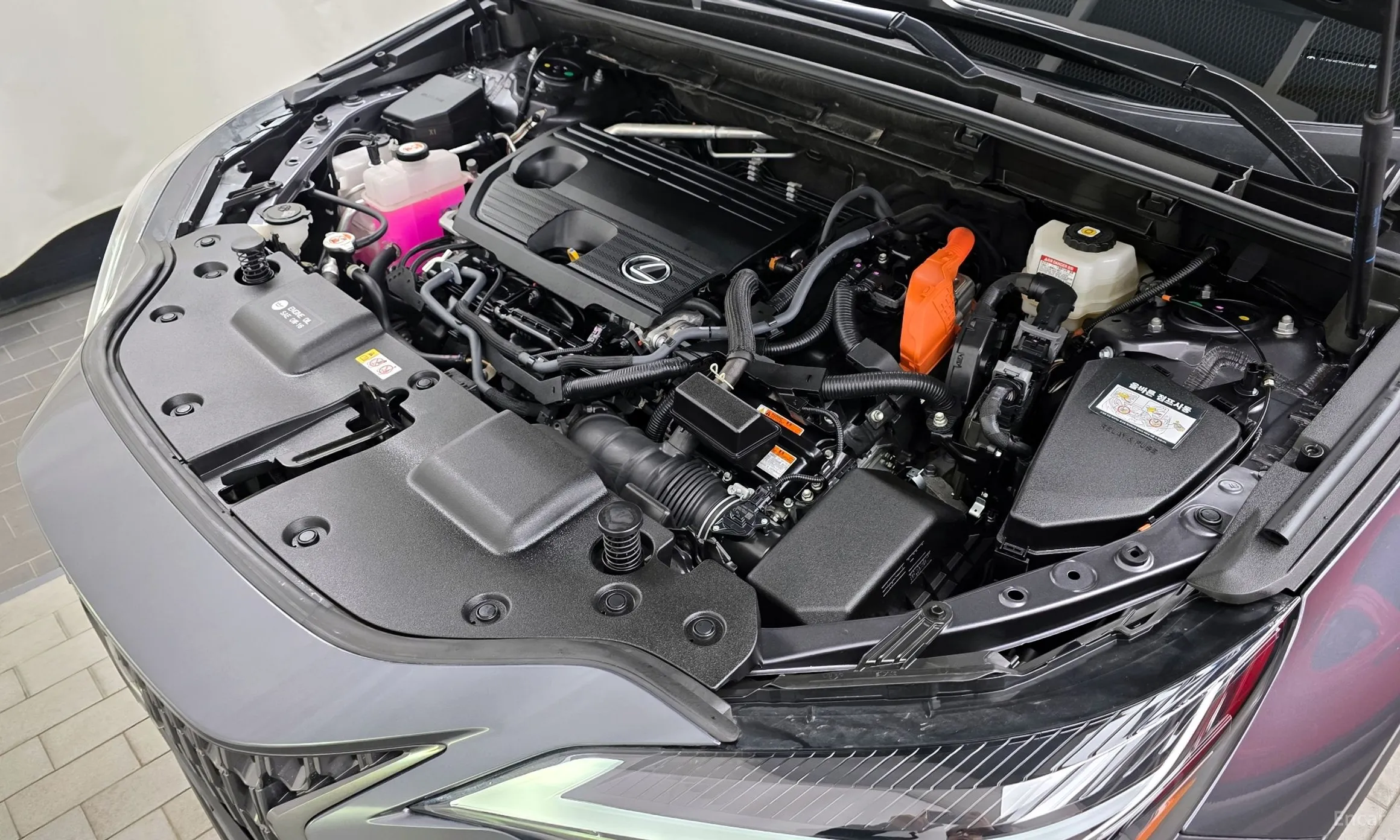 Lexus NX350h Gen 2 превью 6