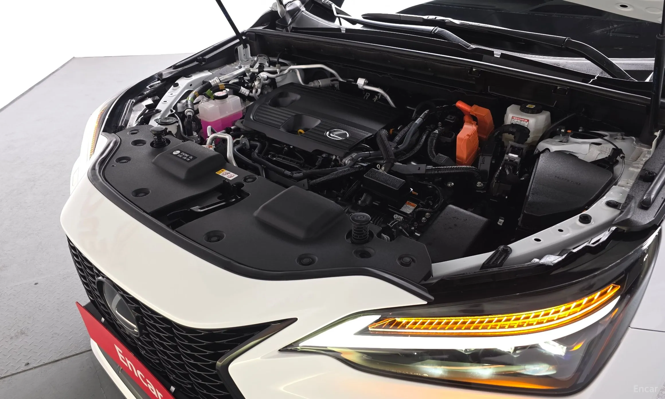 Lexus NX450h + 2nd Gen превью 6