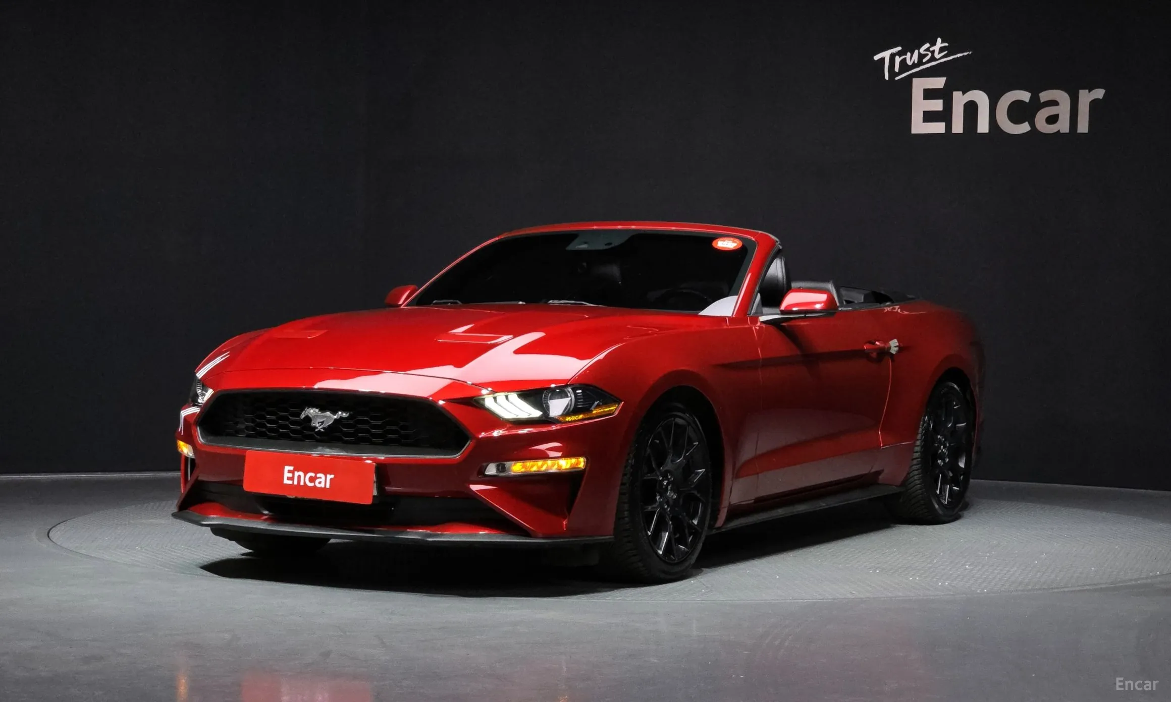 Mustang