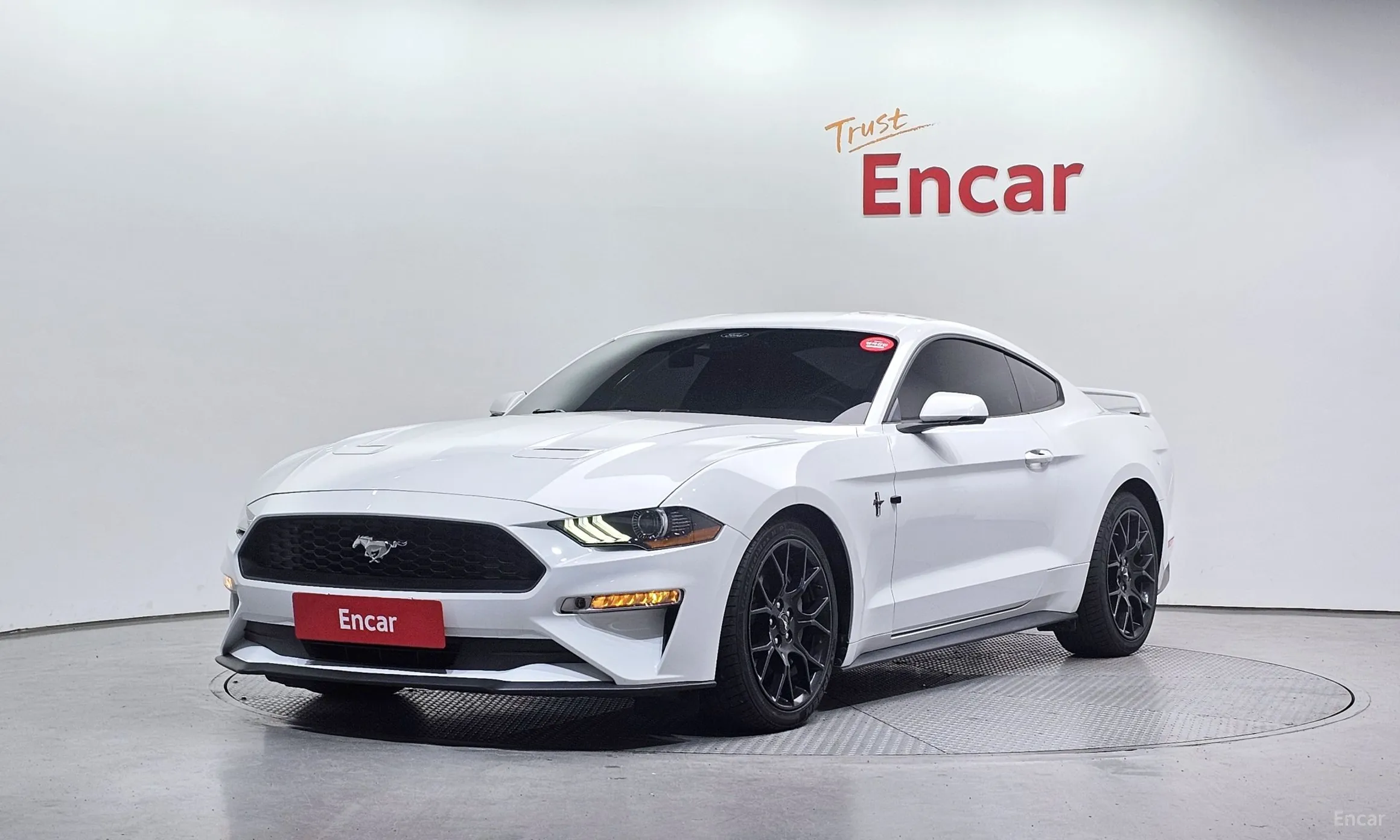 Mustang