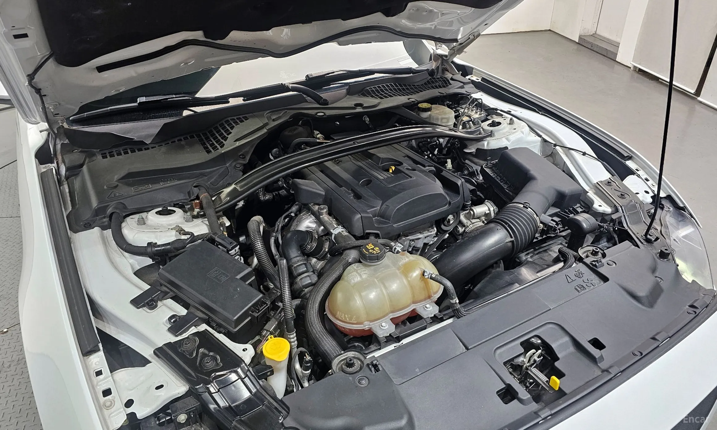 Ford Mustang превью 6