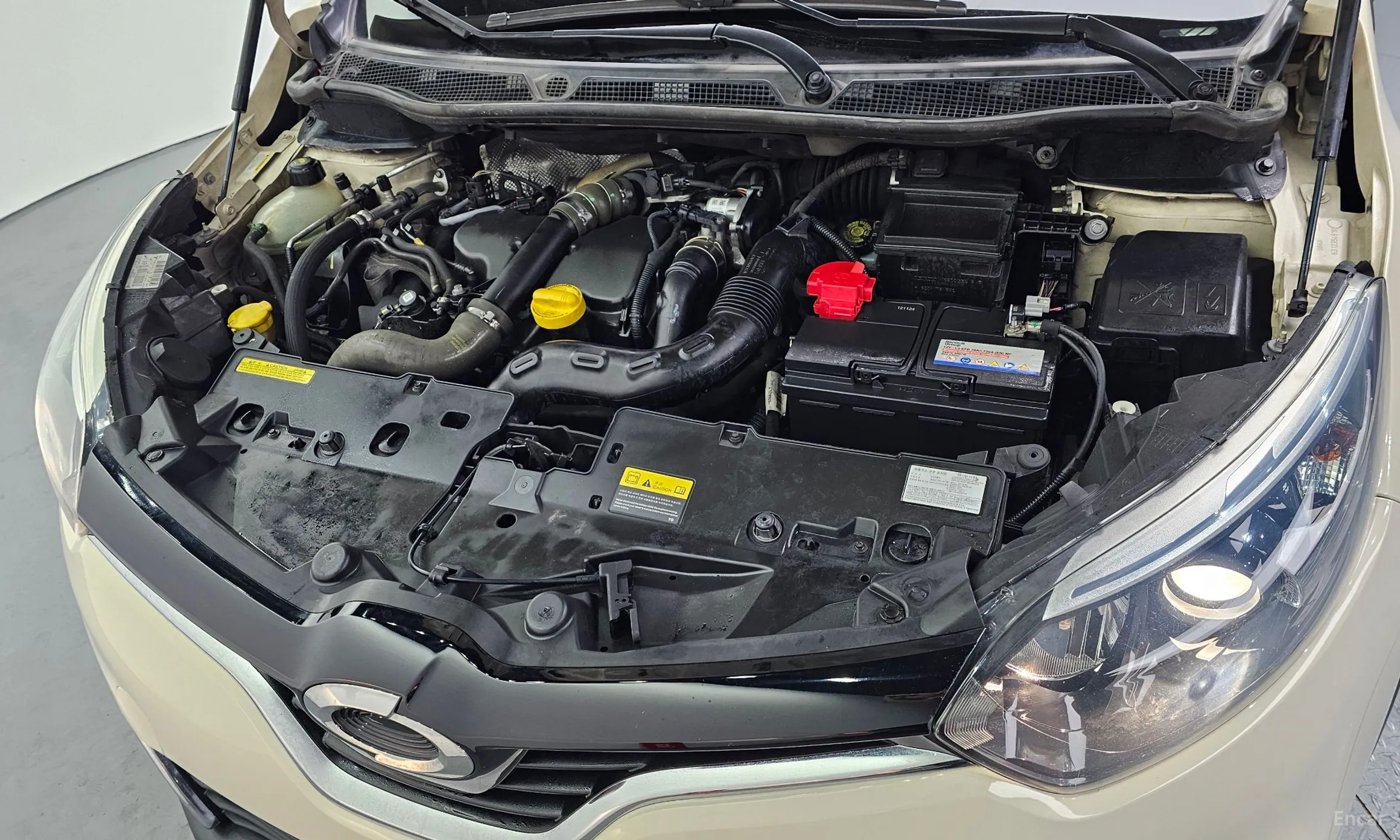 Renault Korea (Samsung) QM3 превью 6