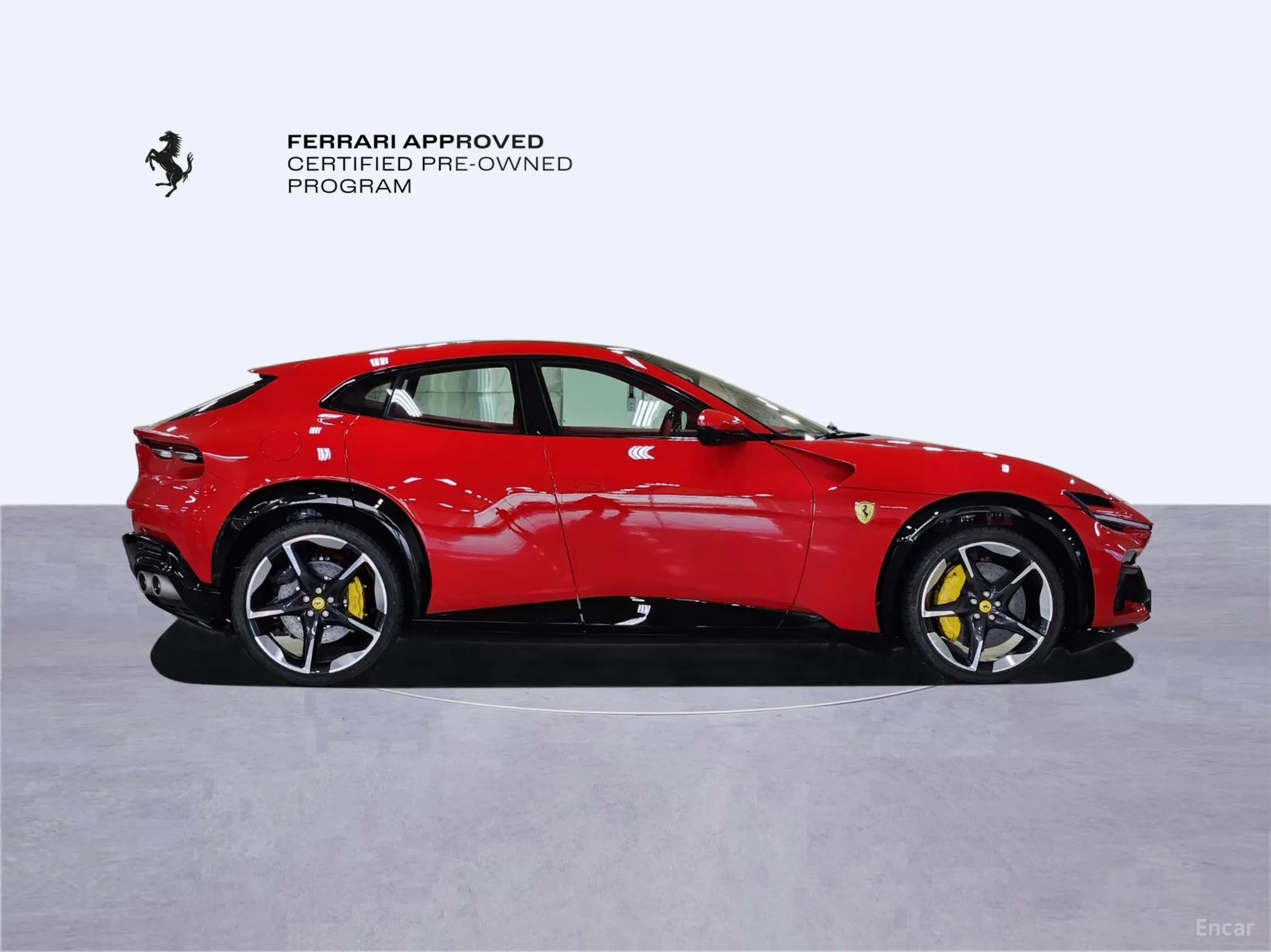 Ferrari Puro Sange превью 6