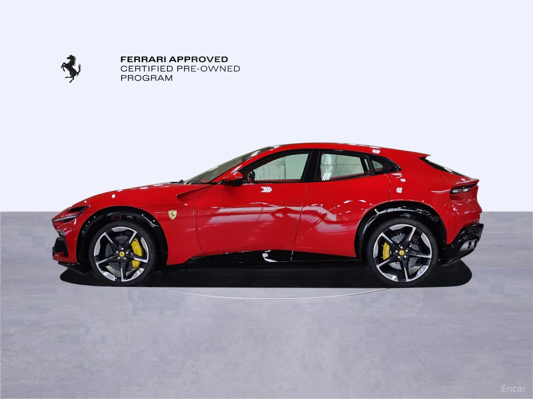 Ferrari Puro Sange превью 8
