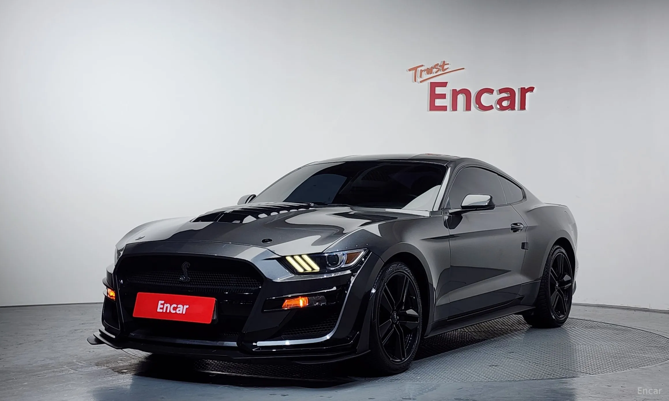 Mustang