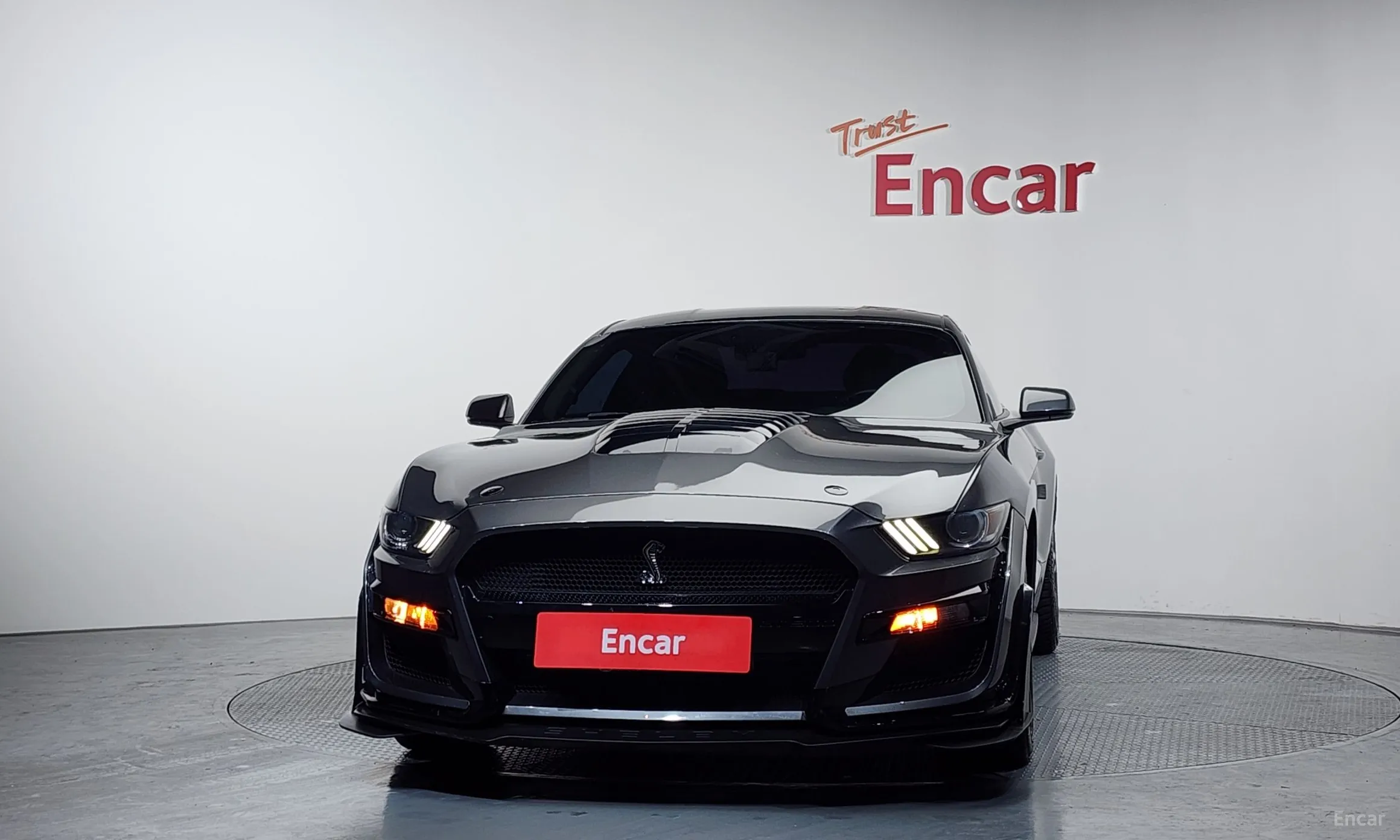 Ford Mustang превью 3