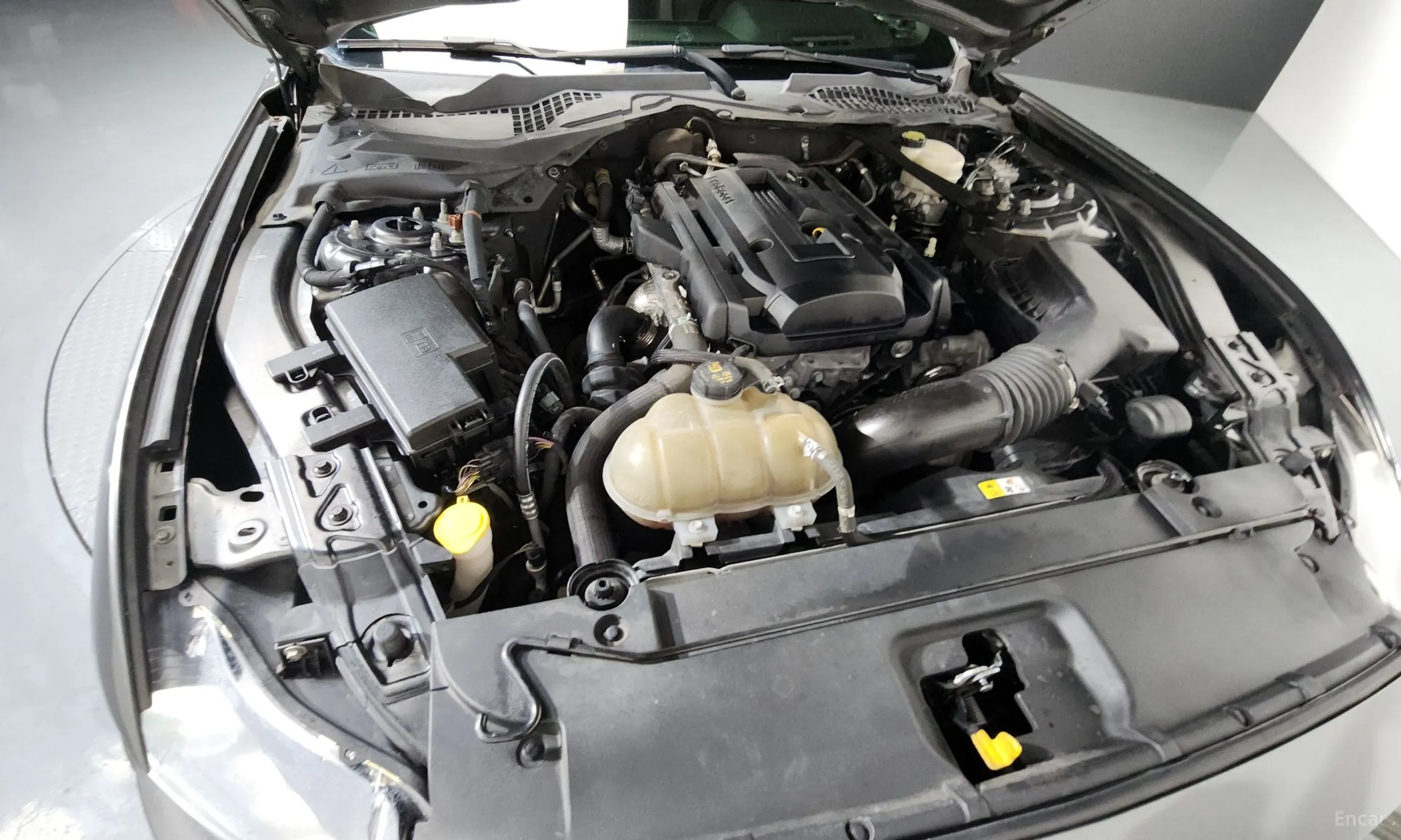 Ford Mustang превью 6