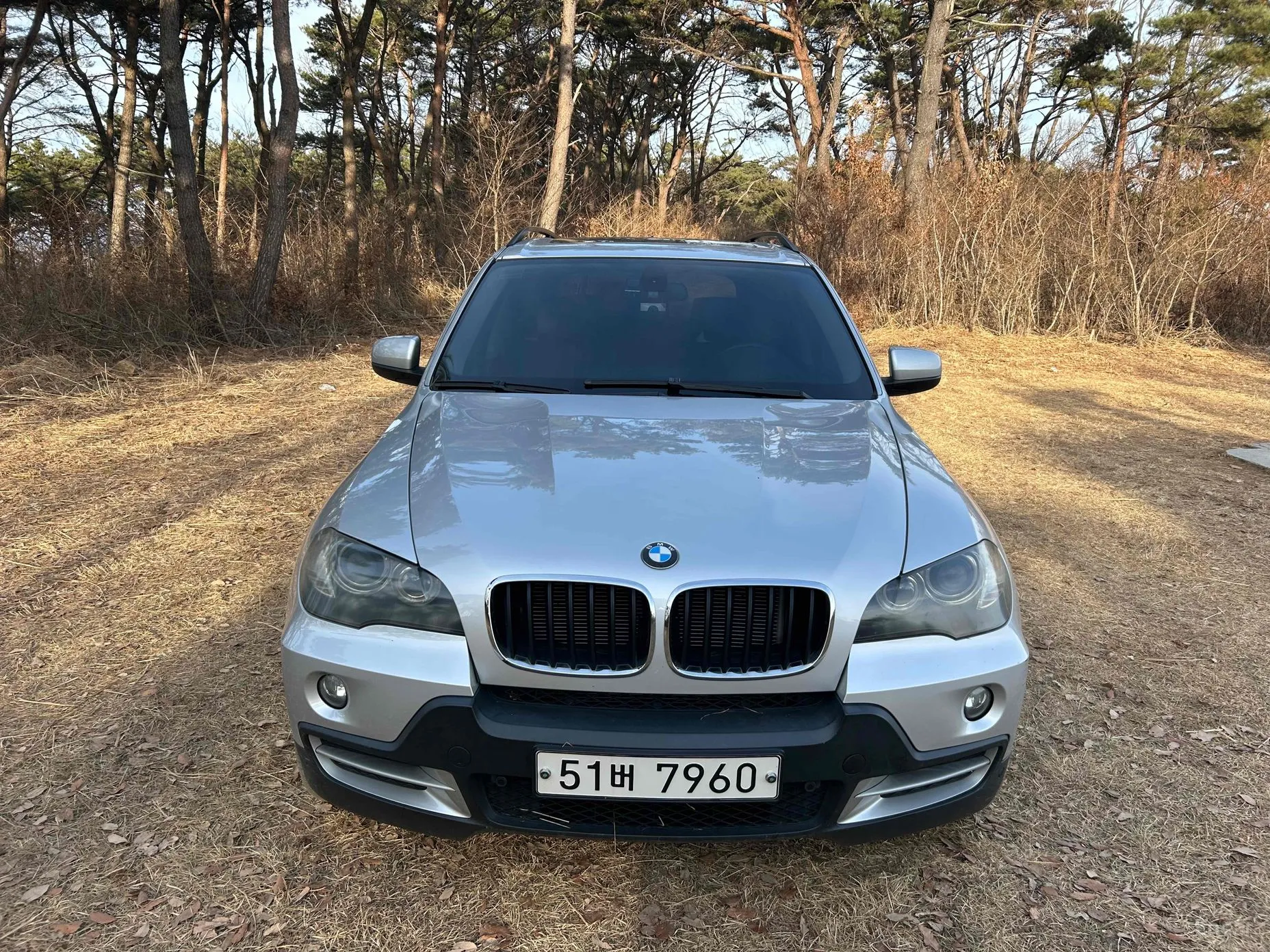 BMW X5 (E70) превью 6