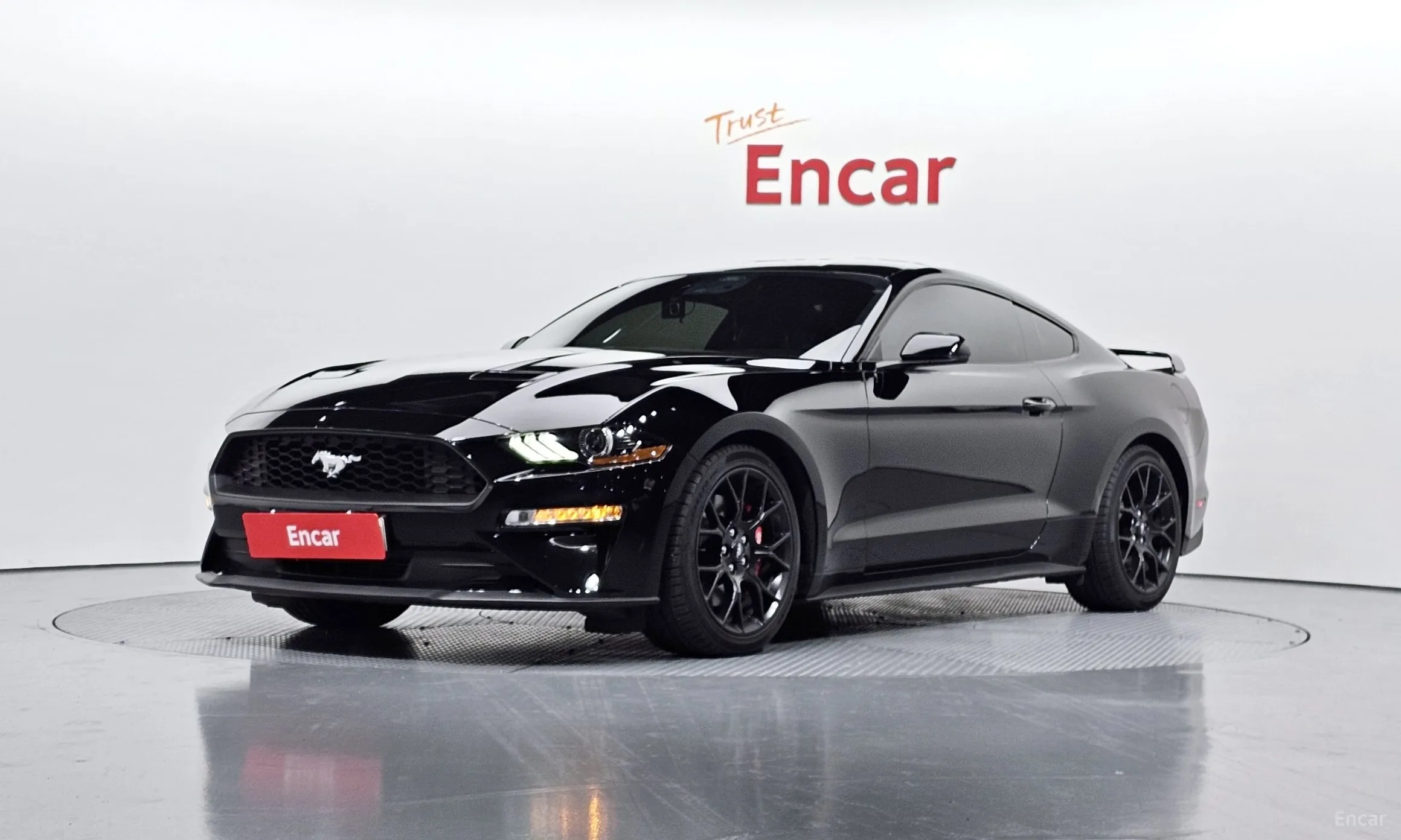 Mustang