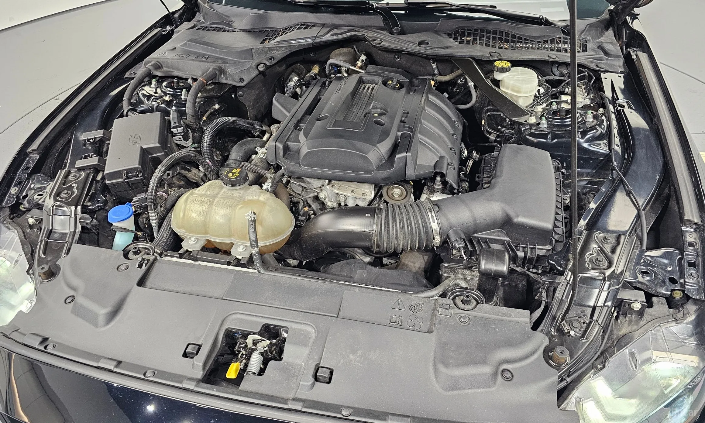 Ford Mustang превью 6