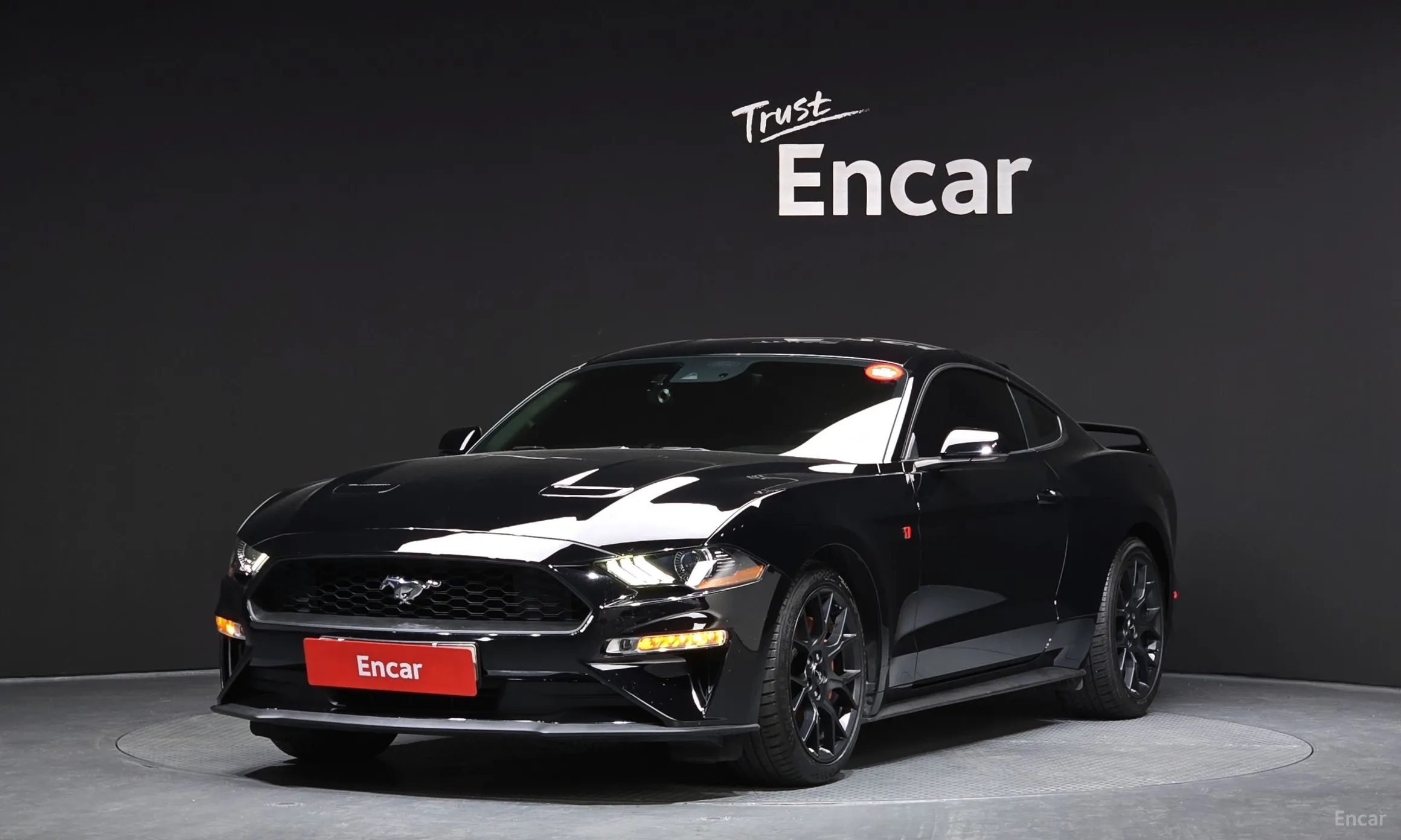Mustang