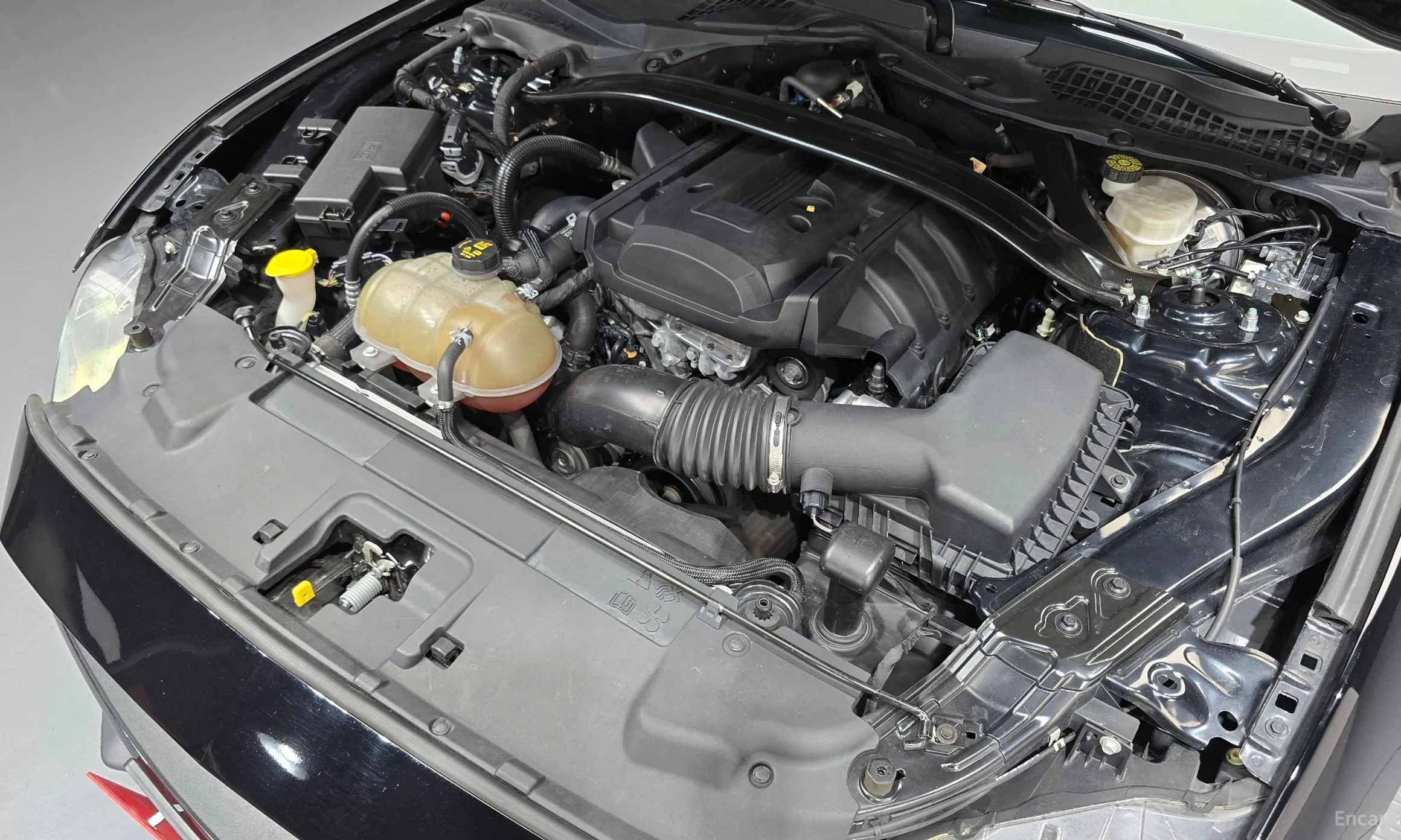 Ford Mustang превью 6
