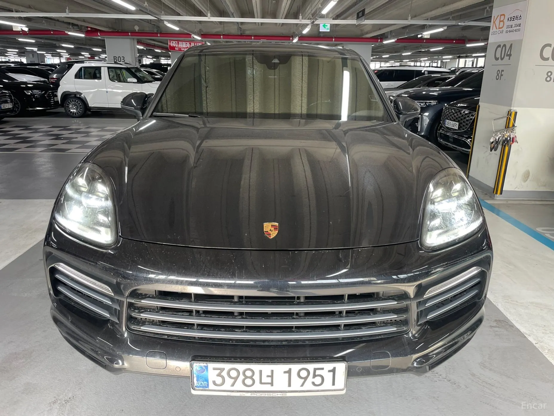 Cayenne (PO536)