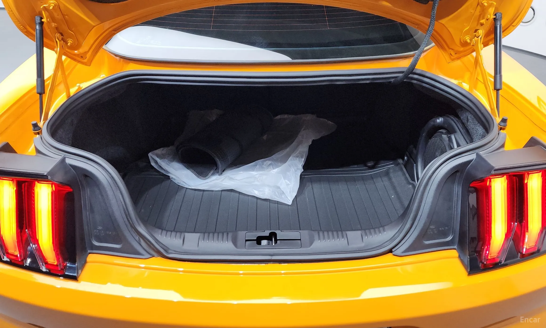 Ford Mustang превью 20