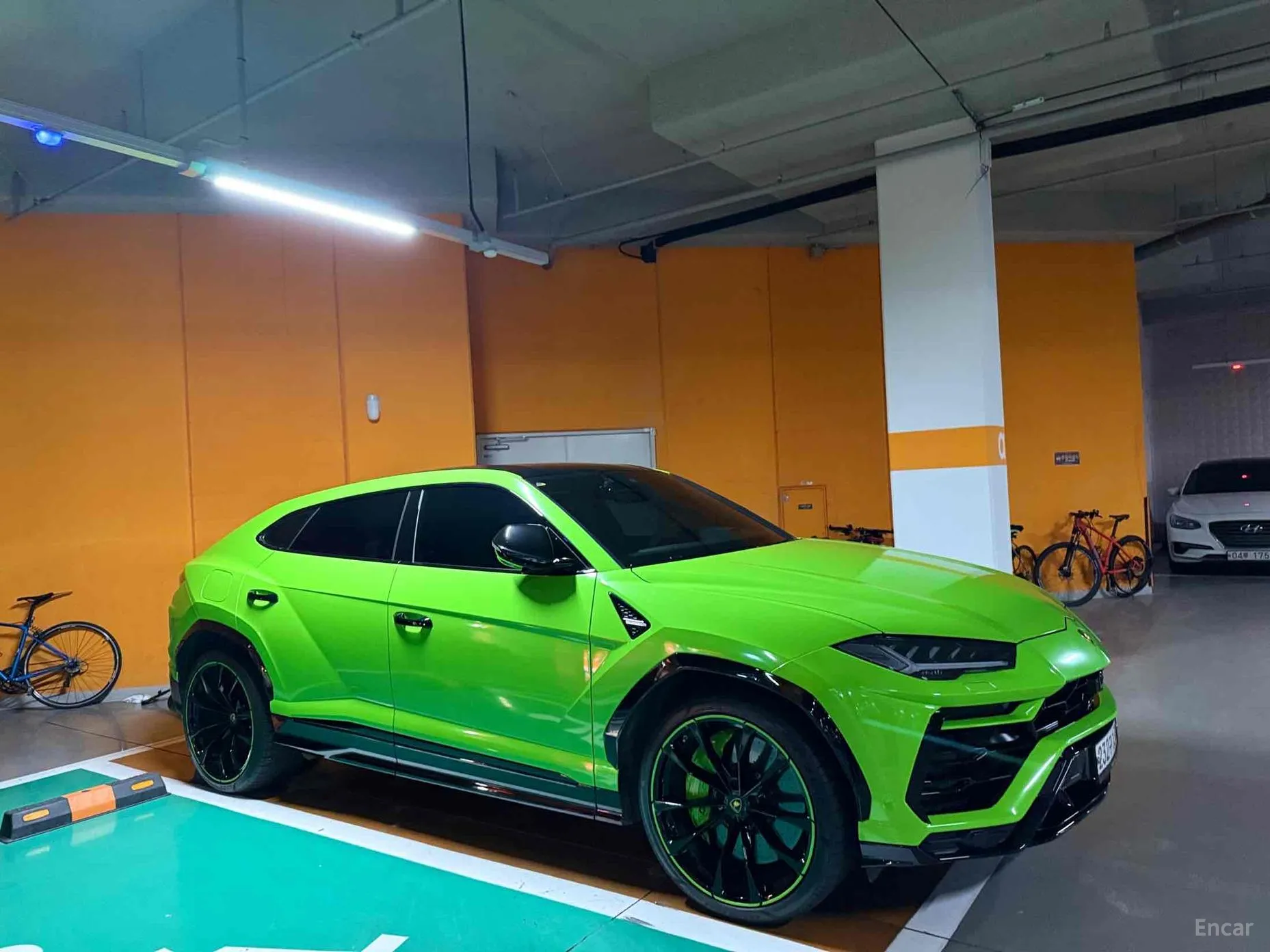 Urus