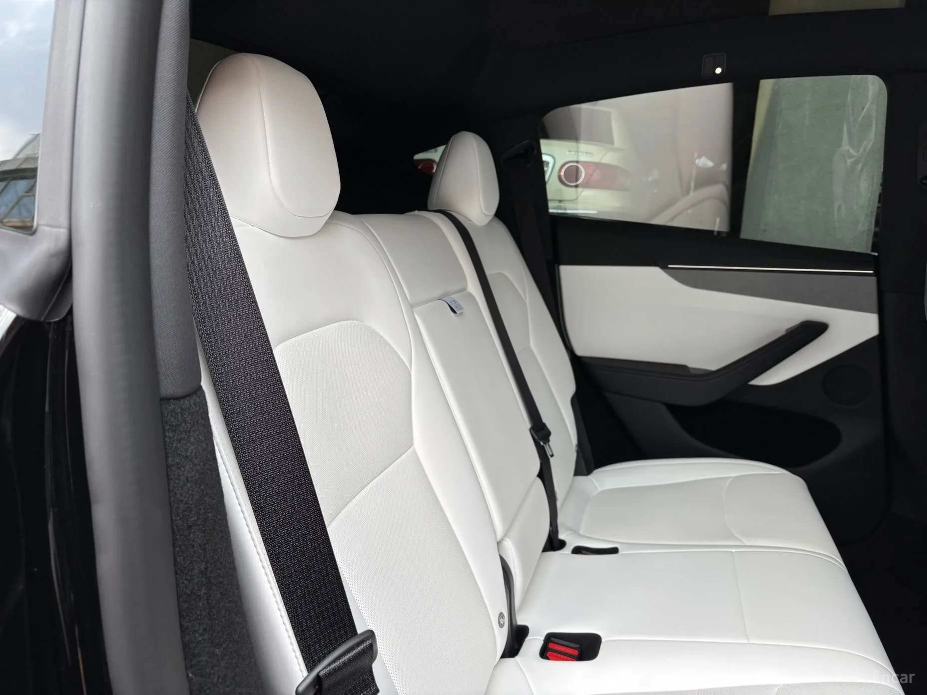 Tesla Model Y превью 19