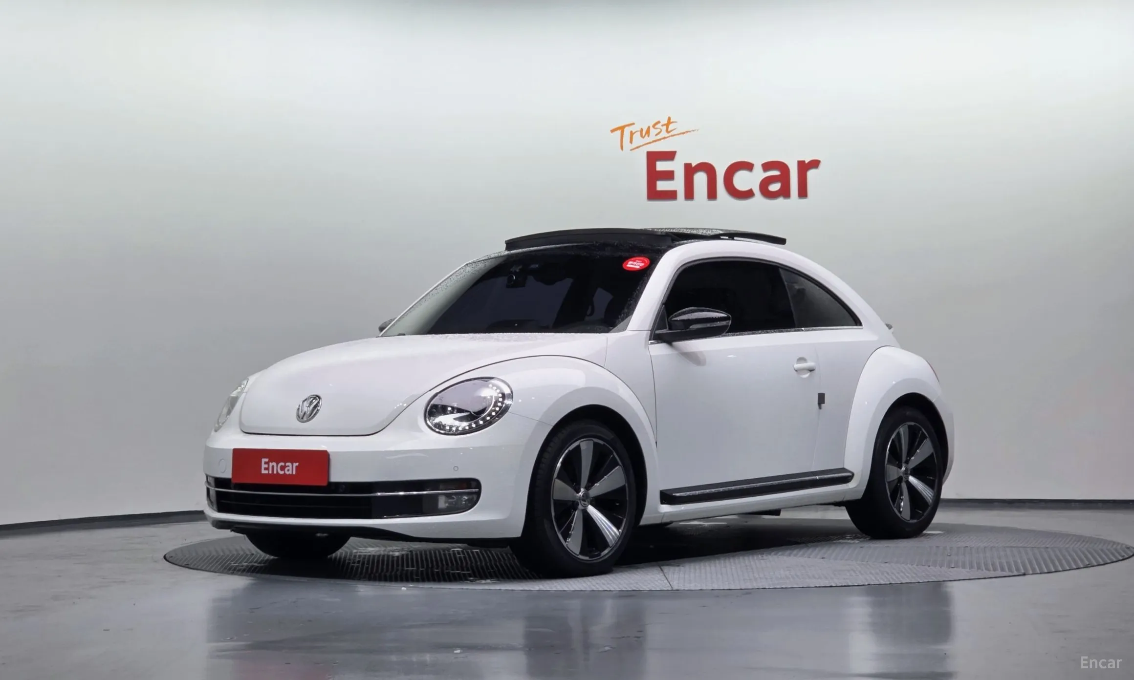 Volkswagen The Beetle
