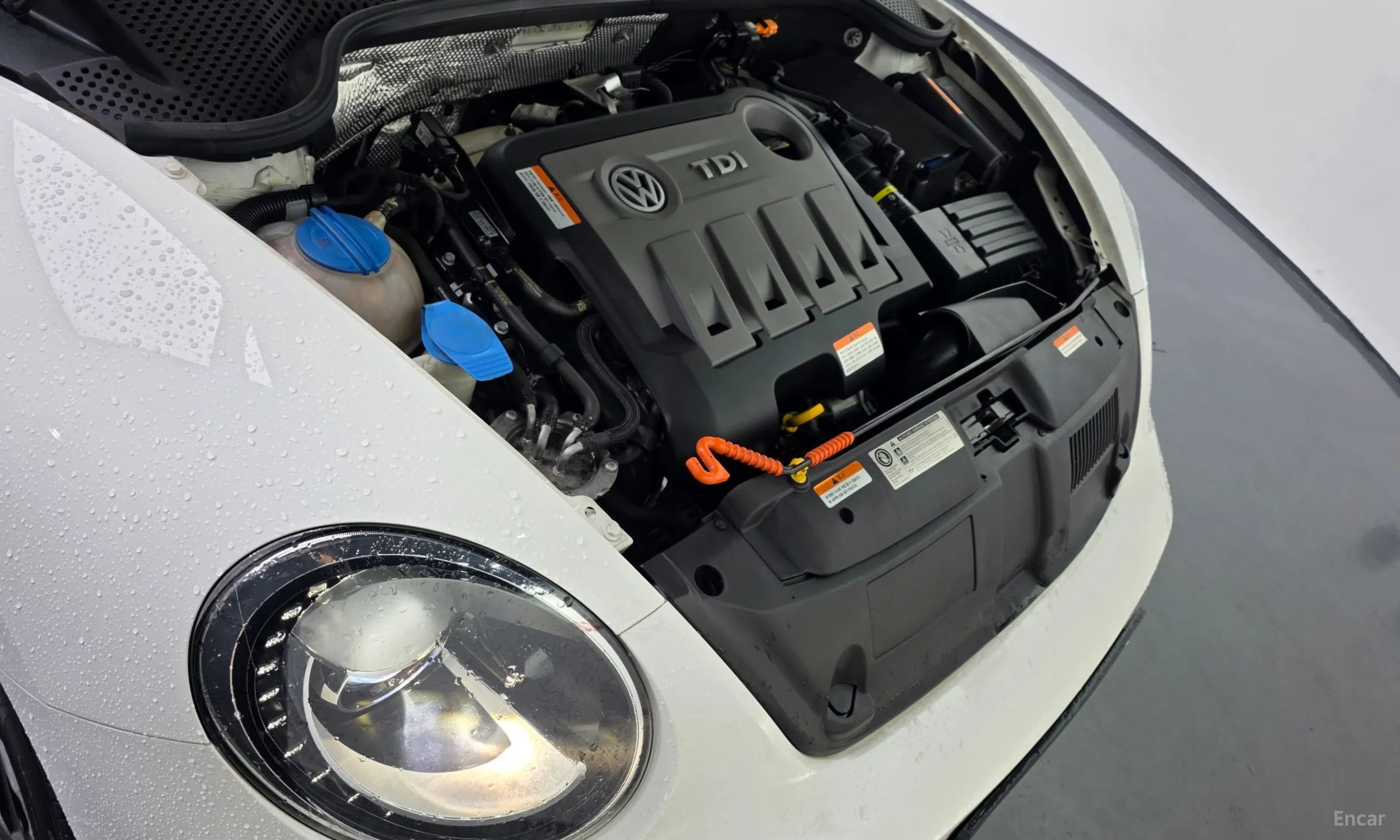 Volkswagen The Beetle превью 6