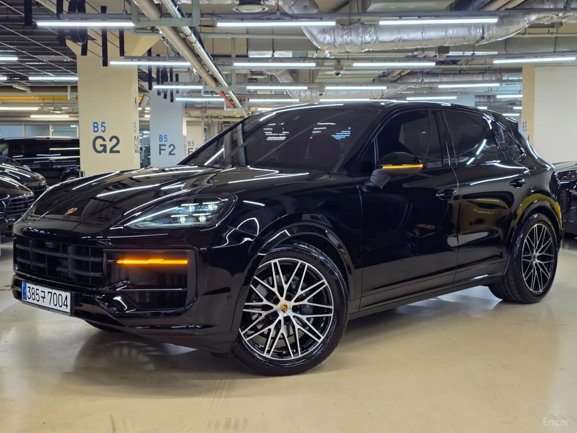 Cayenne (PO536)