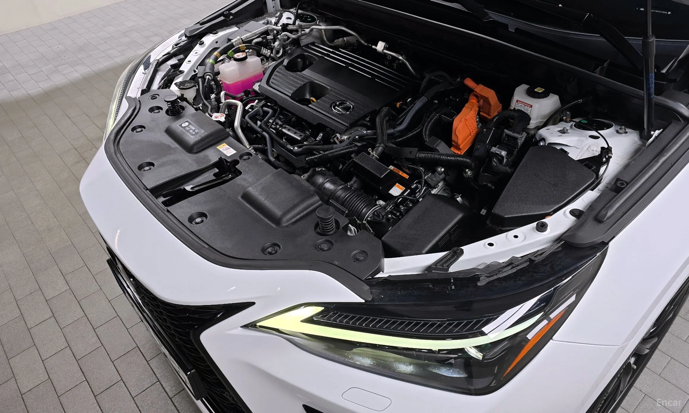 Lexus NX450h + 2nd Gen превью 6