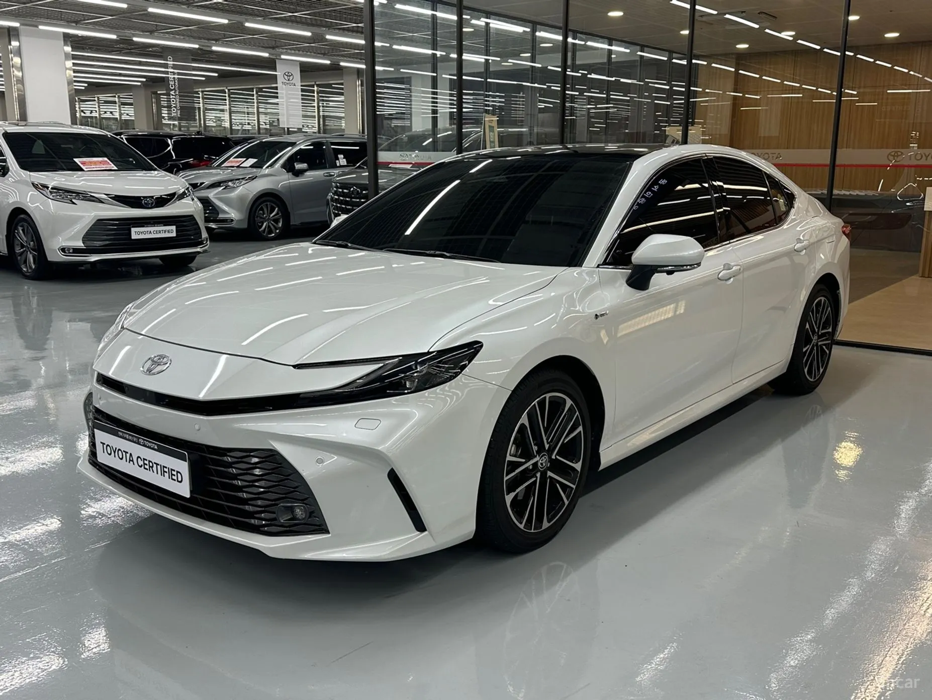 Camry (XV80)