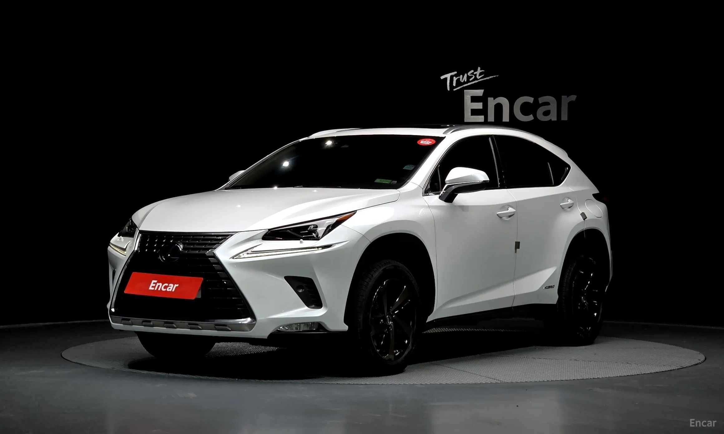 NX300h