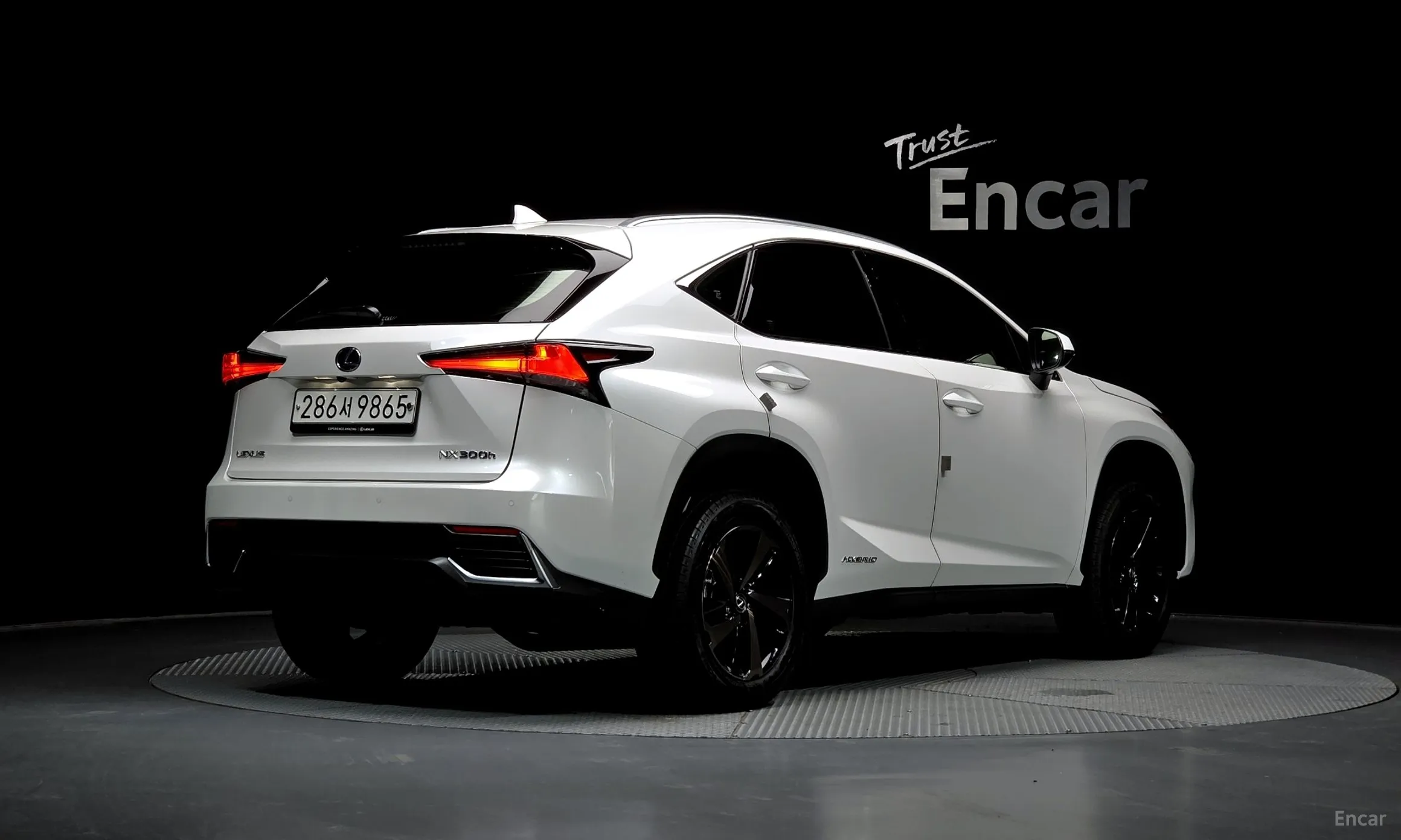 Lexus NX300h